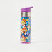 Disney Frozen Print Water Bottle - 500 ml-Water Bottles-thumbnail-0