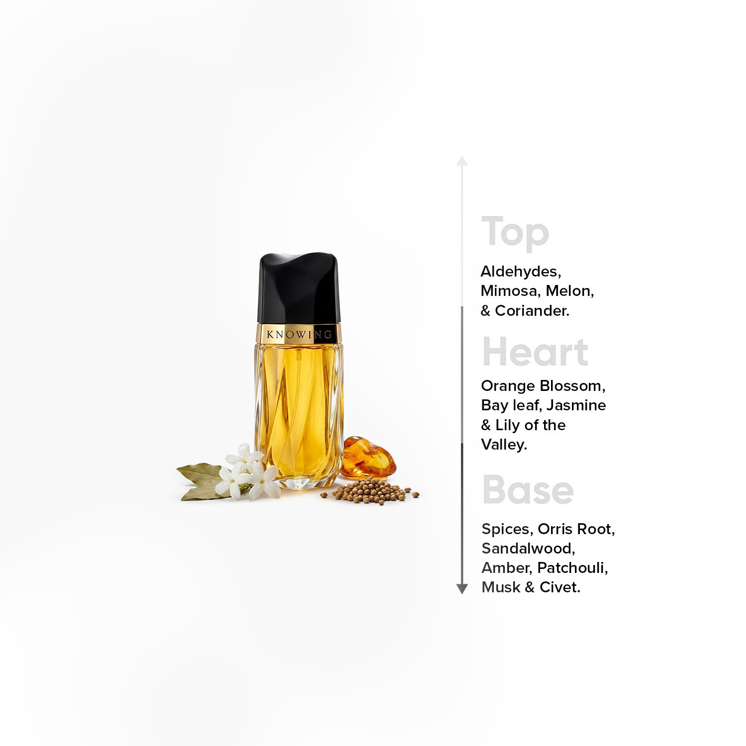رذاذ أو دو برفان نوينج للنساء من إستي لودر - 75 مل-beautyandpersonalcare-fragrance-women-image-4