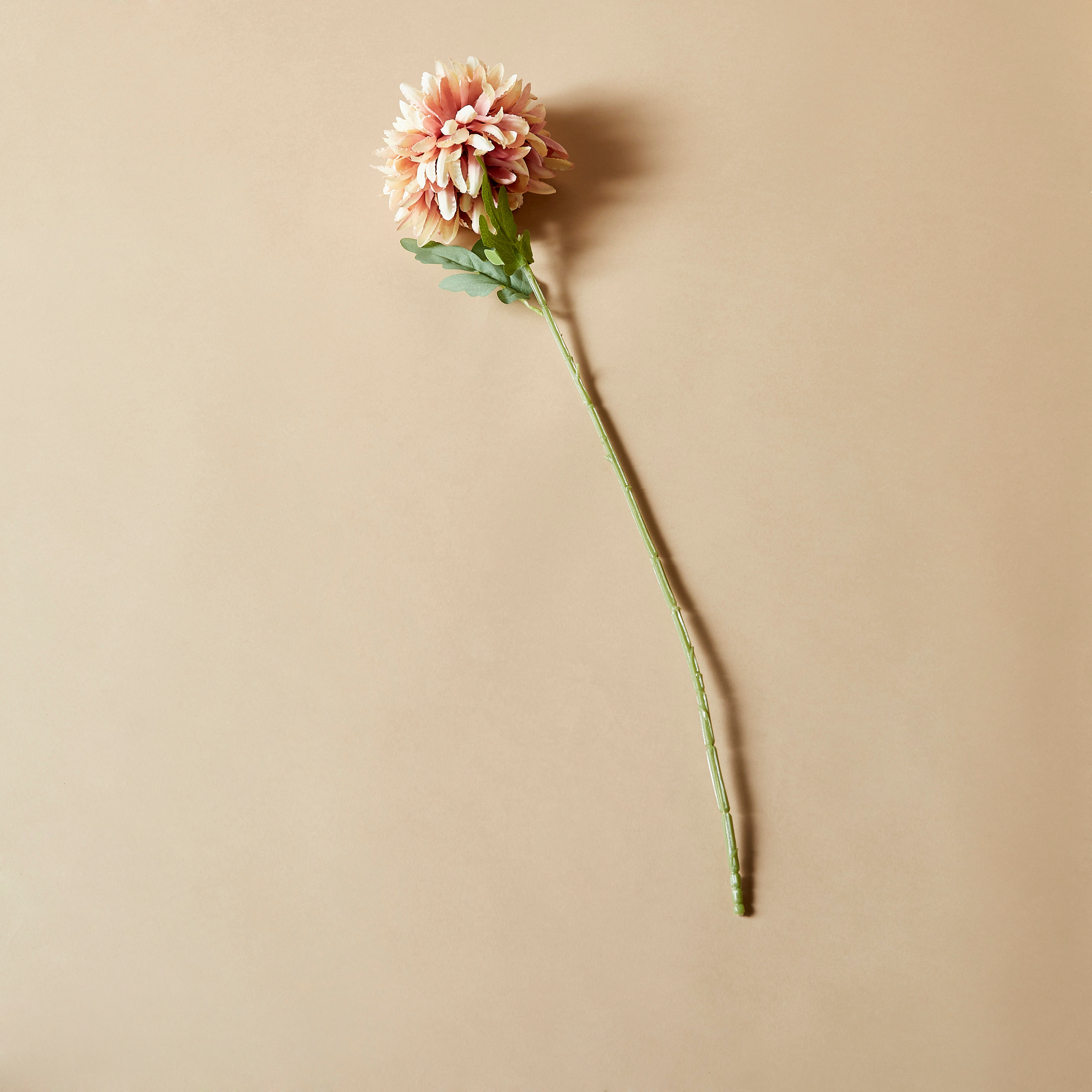 Decorative Floral Stem - 74 cms-household-gardenandoutdoor-artificialflowersandplants-flowers-image-4