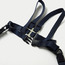 Clippasafe Designer Teddy Harness and Reins with Anchor Straps-baby-healthandsafety-babyproofing-image-4