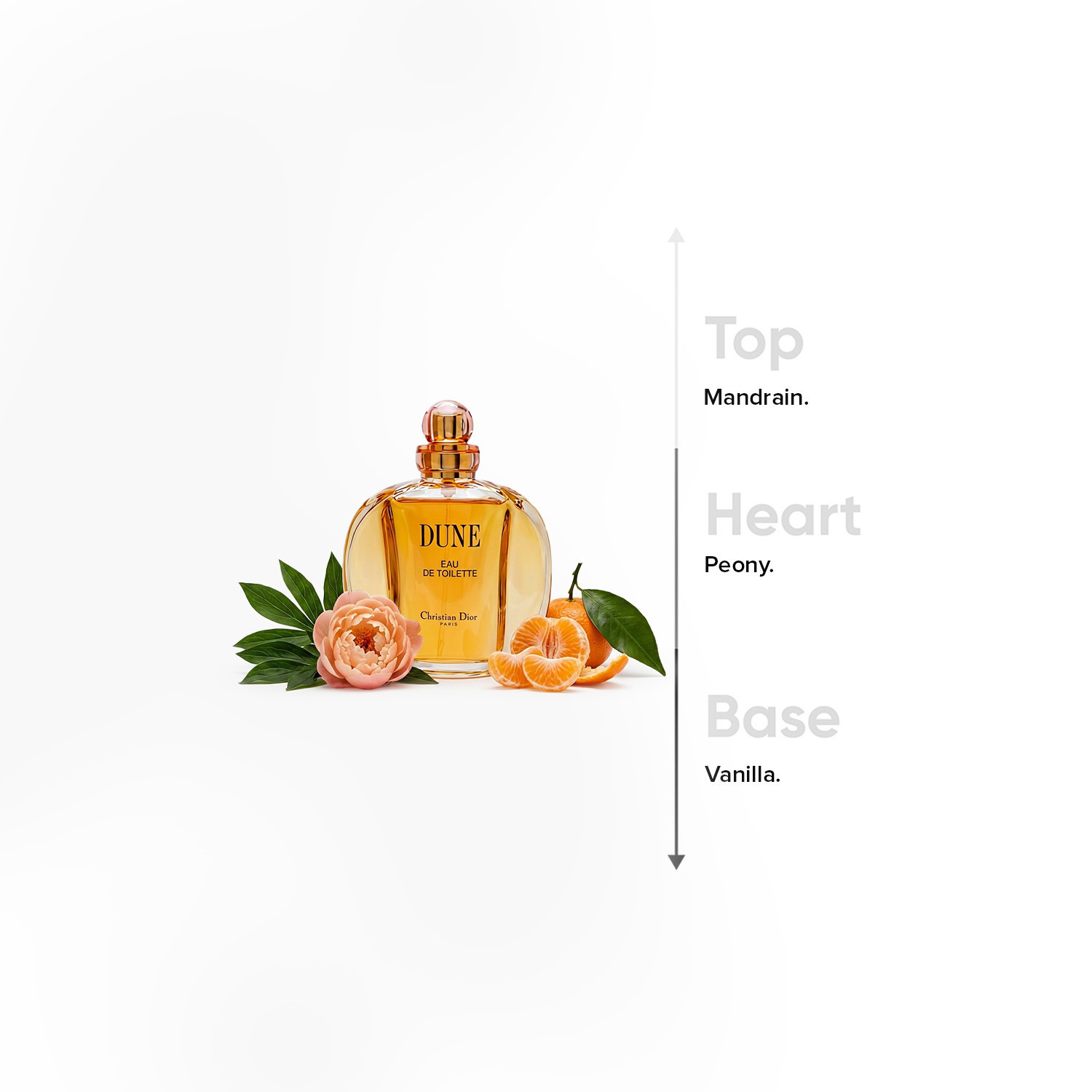 أو دي تواليت ديون من كريستيان ديور - 100 مل-beautyandpersonalcare-fragrance-women-image-4