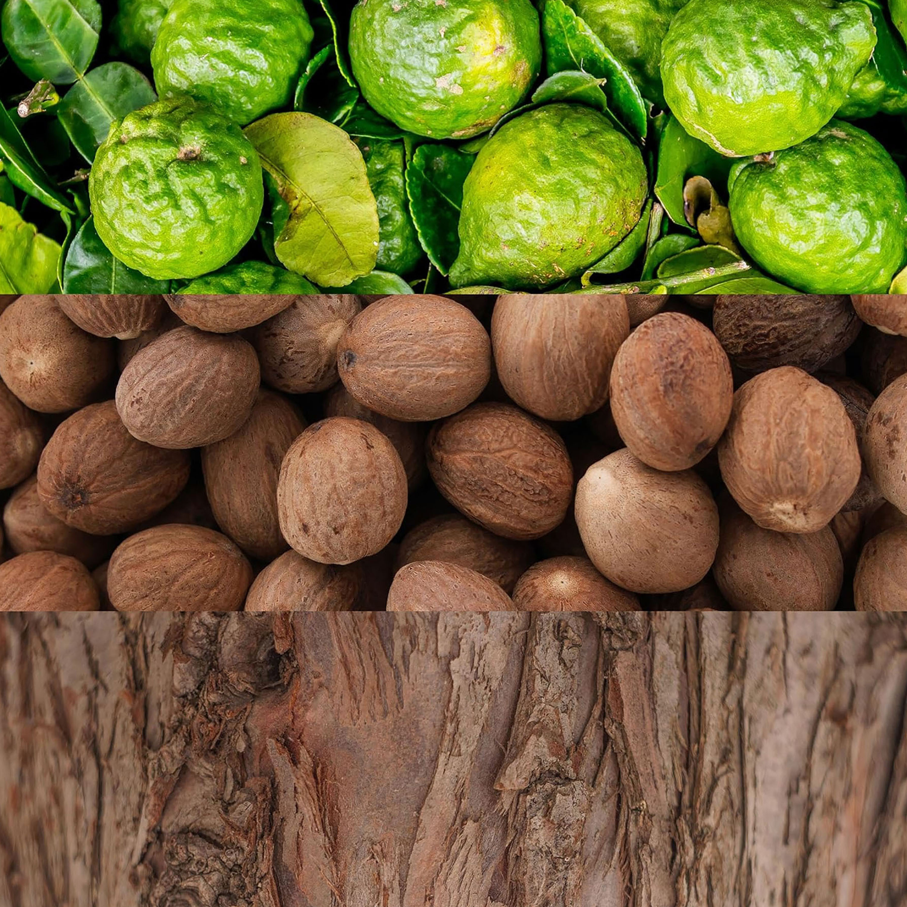 Calvin Klein Edt Perfume For Men 100 Ml-beautyandpersonalcare-fragrance-men-image-3