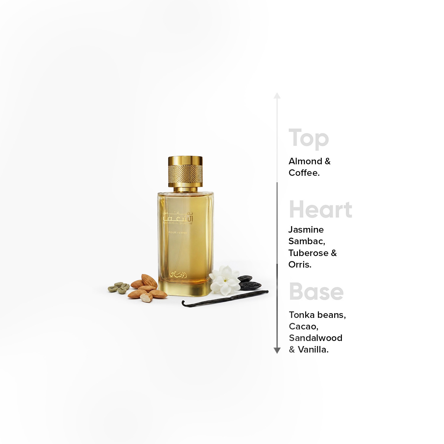 رصاصي نفائس الشغف بور فيم أو دو برفوم للنساء - 100 مل-beautyandpersonalcare-fragrance-unisex-image-4