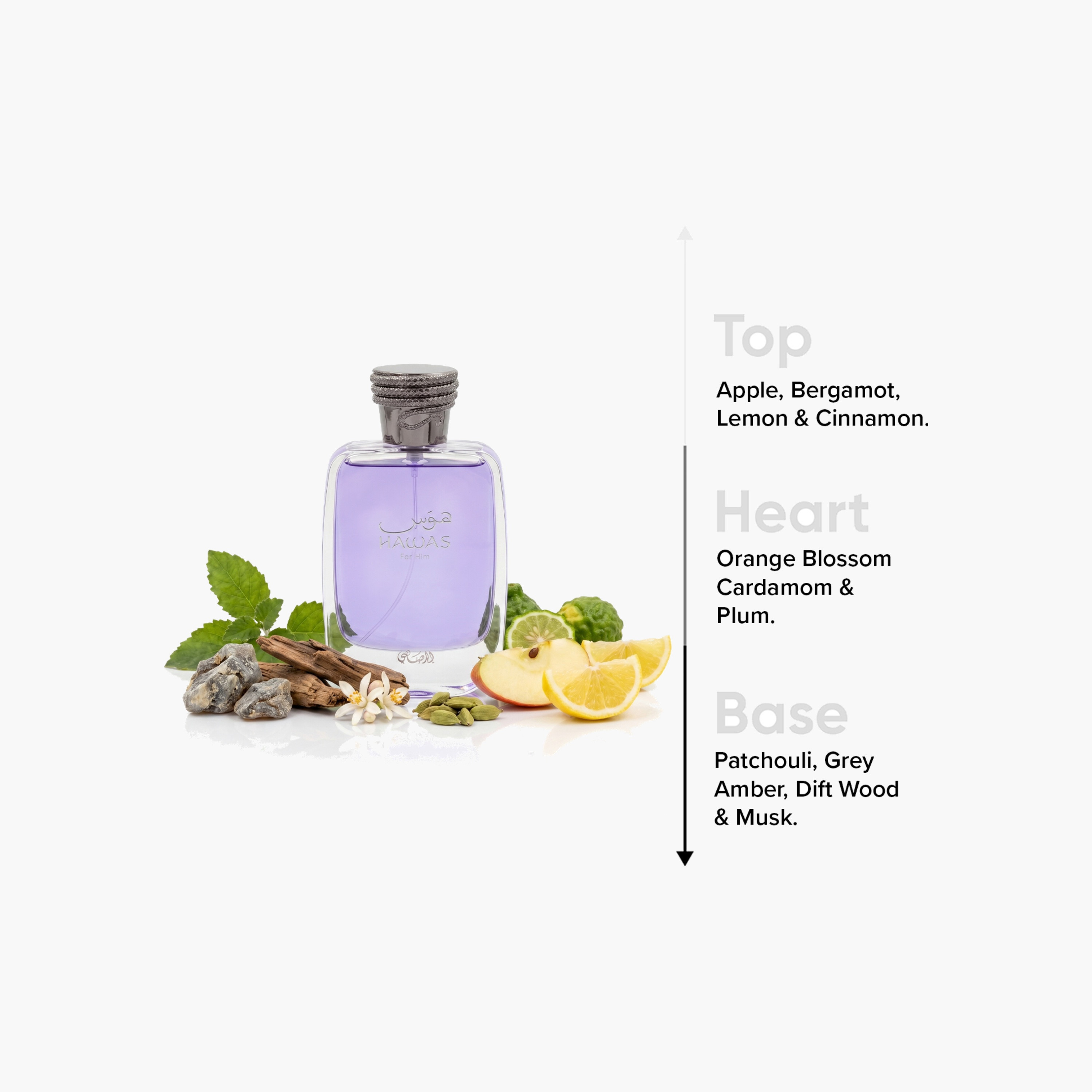 عطر مركز هوس للرجال من رصاصي - 100 مل-beautyandpersonalcare-fragrance-men-image-4