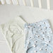 Juniors Assorted Swaddle Wrap - Set of 2-Swaddles and Sleeping Bags-thumbnailMobile-3