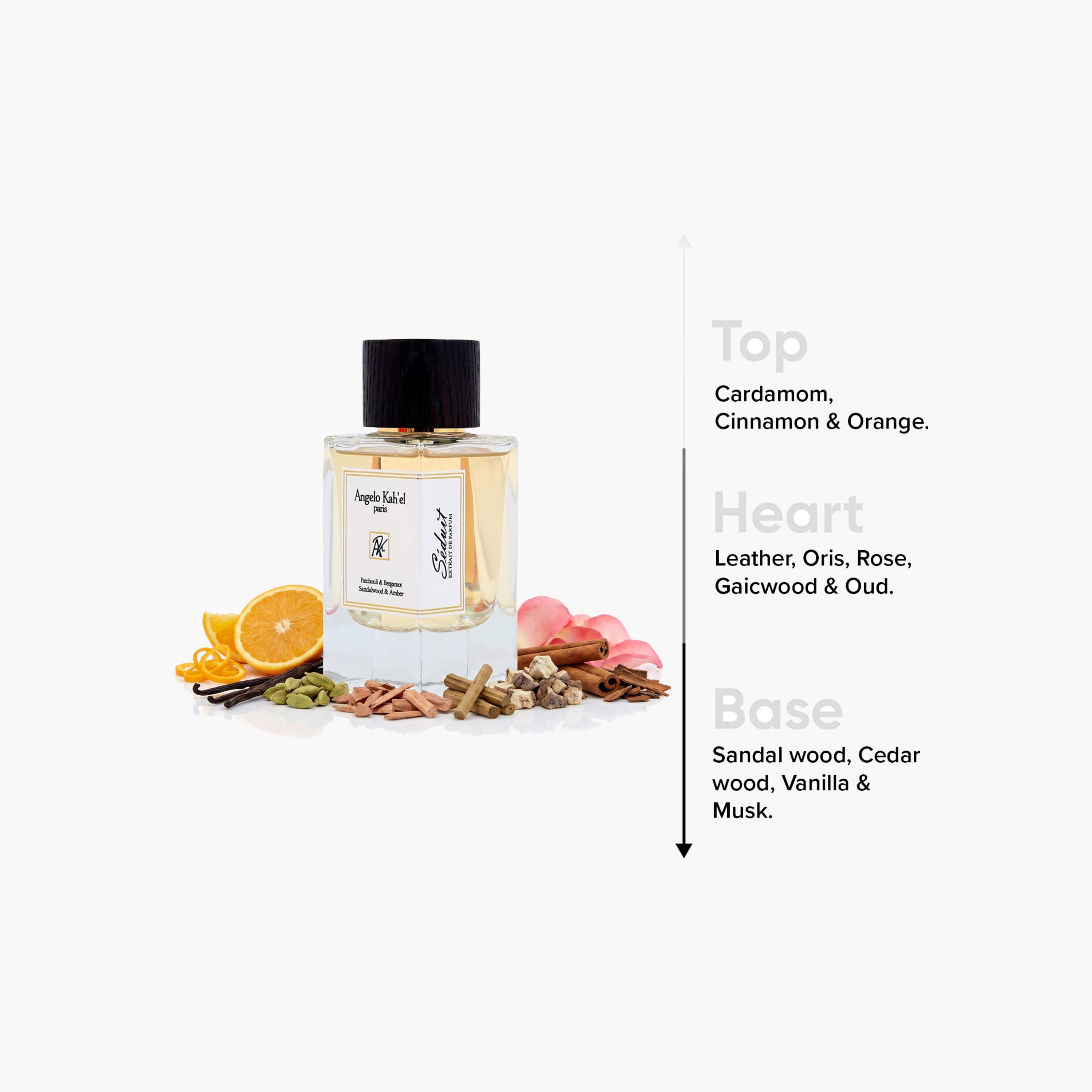 عطر أو دو برفان باريس سيدوي للرجال من أنجيلو كاهيل- 100 مل-beautyandpersonalcare-fragrance-men-image-4