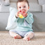 Hape Busy Bug Roll Baby Toy-toys-babyandtoddlertoys-rattlesandteethers-image-4