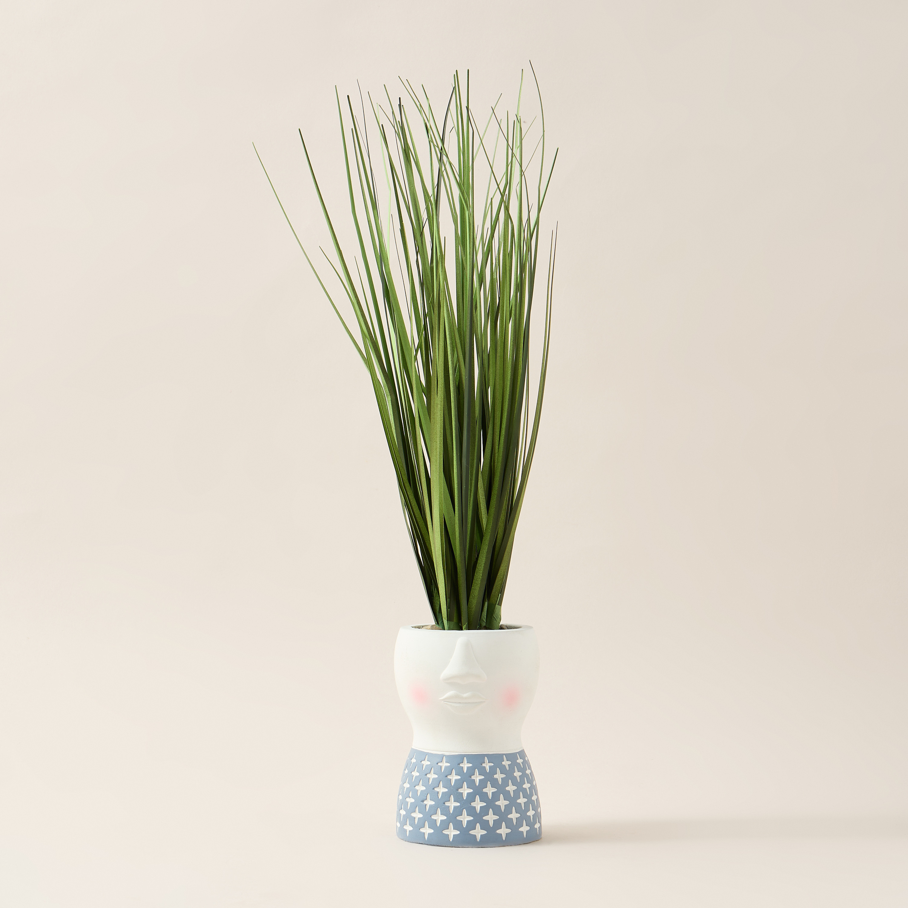 Findz Textured Pot with Succulent - 43 cms-household-decor-decorativeobjectsandsculptures-image-1