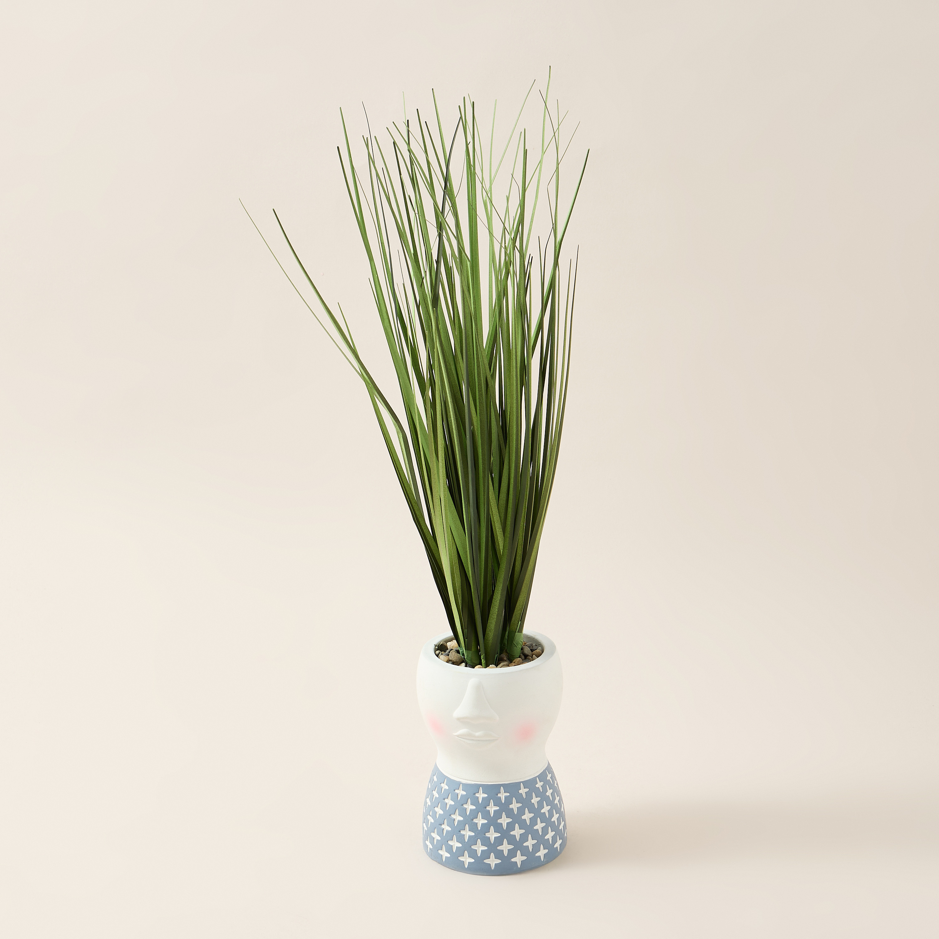 Findz Textured Pot with Succulent - 43 cms-household-decor-decorativeobjectsandsculptures-image-2