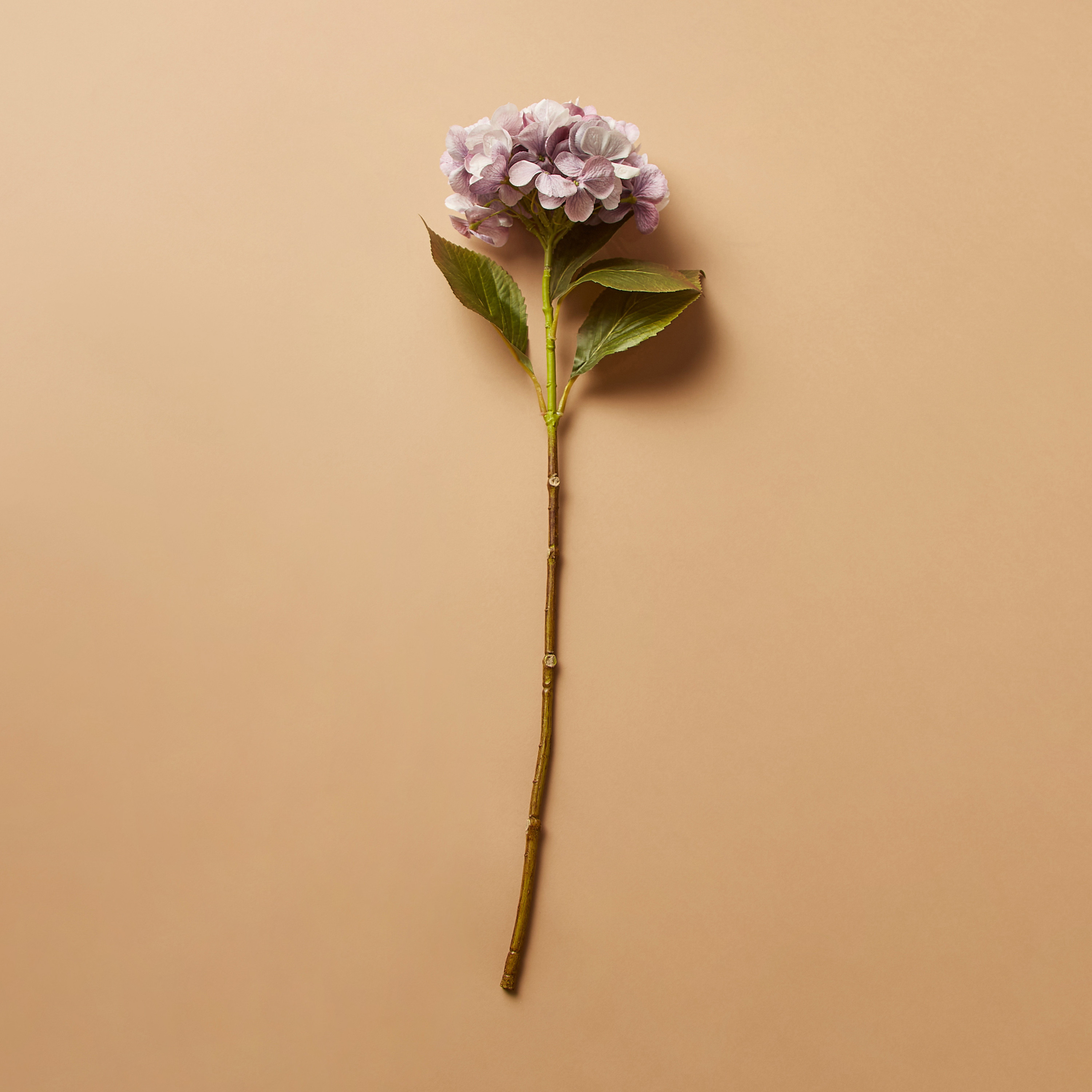 غصن زهرة الكوبية للديكور - 7 سم-household-gardenandoutdoor-artificialflowersandplants-flowers-image-1