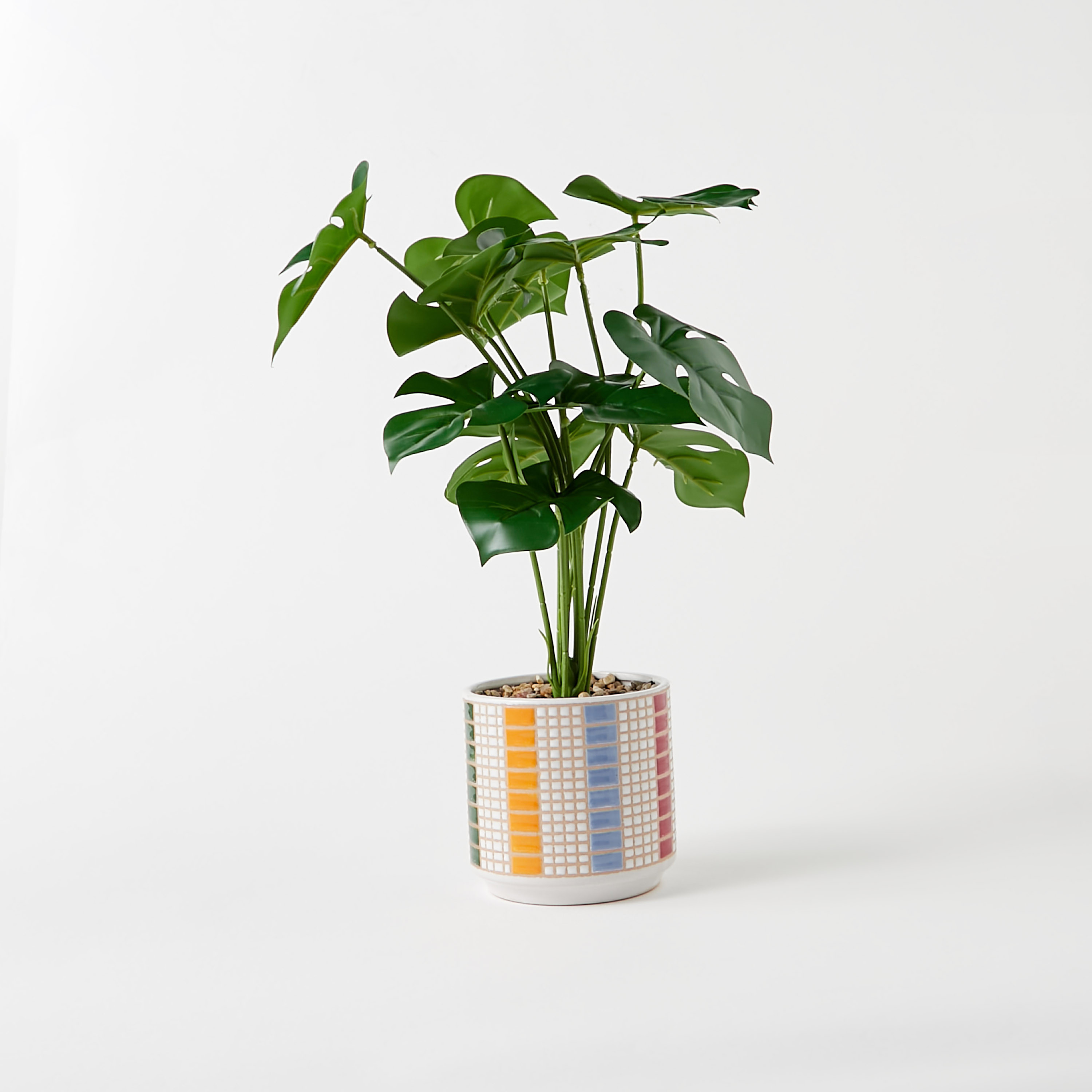 Findz Ceramic Planter - 12x12x40 cms-household-decor-decorativeobjectsandsculptures-image-1