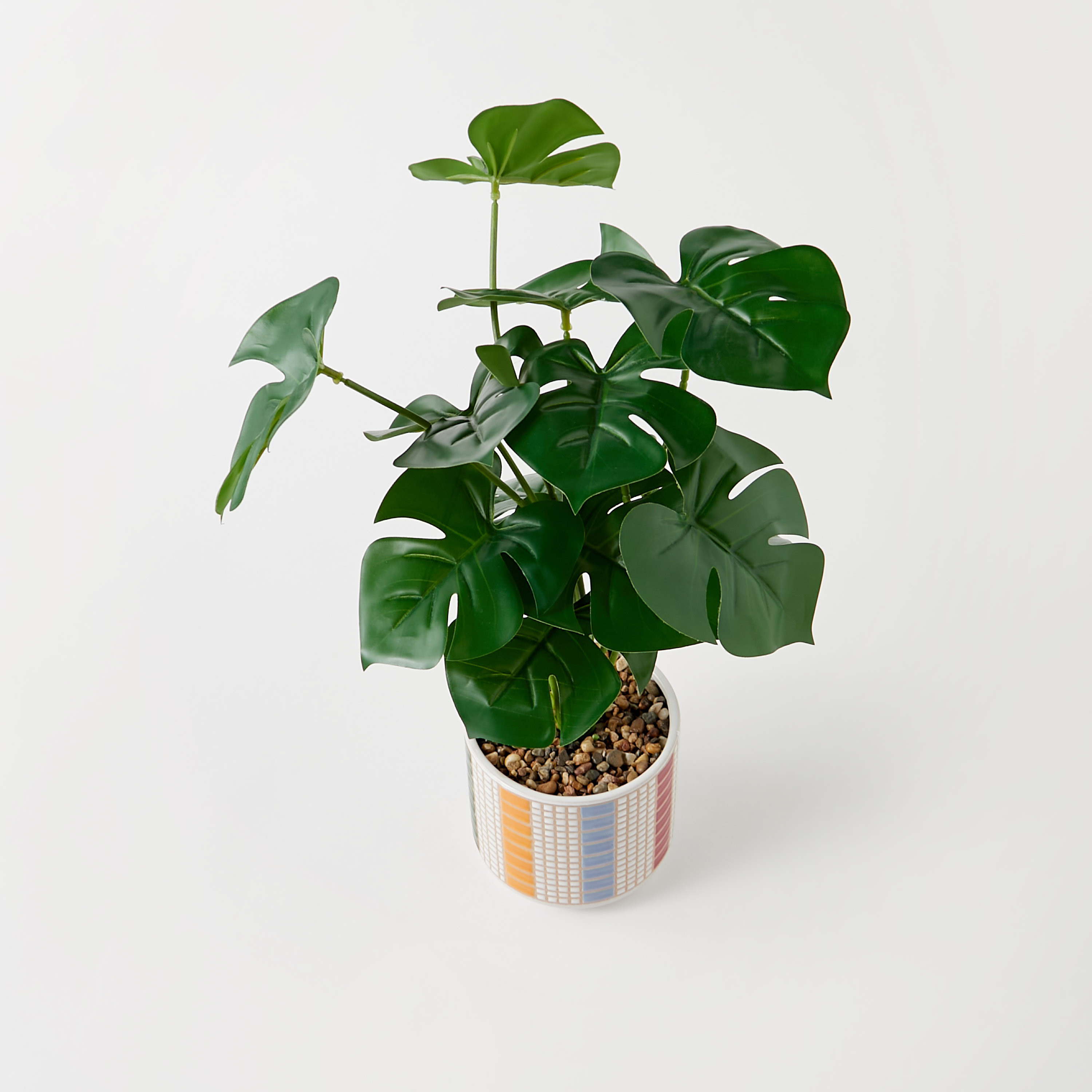Findz Ceramic Planter - 12x12x40 cms-household-decor-decorativeobjectsandsculptures-image-2