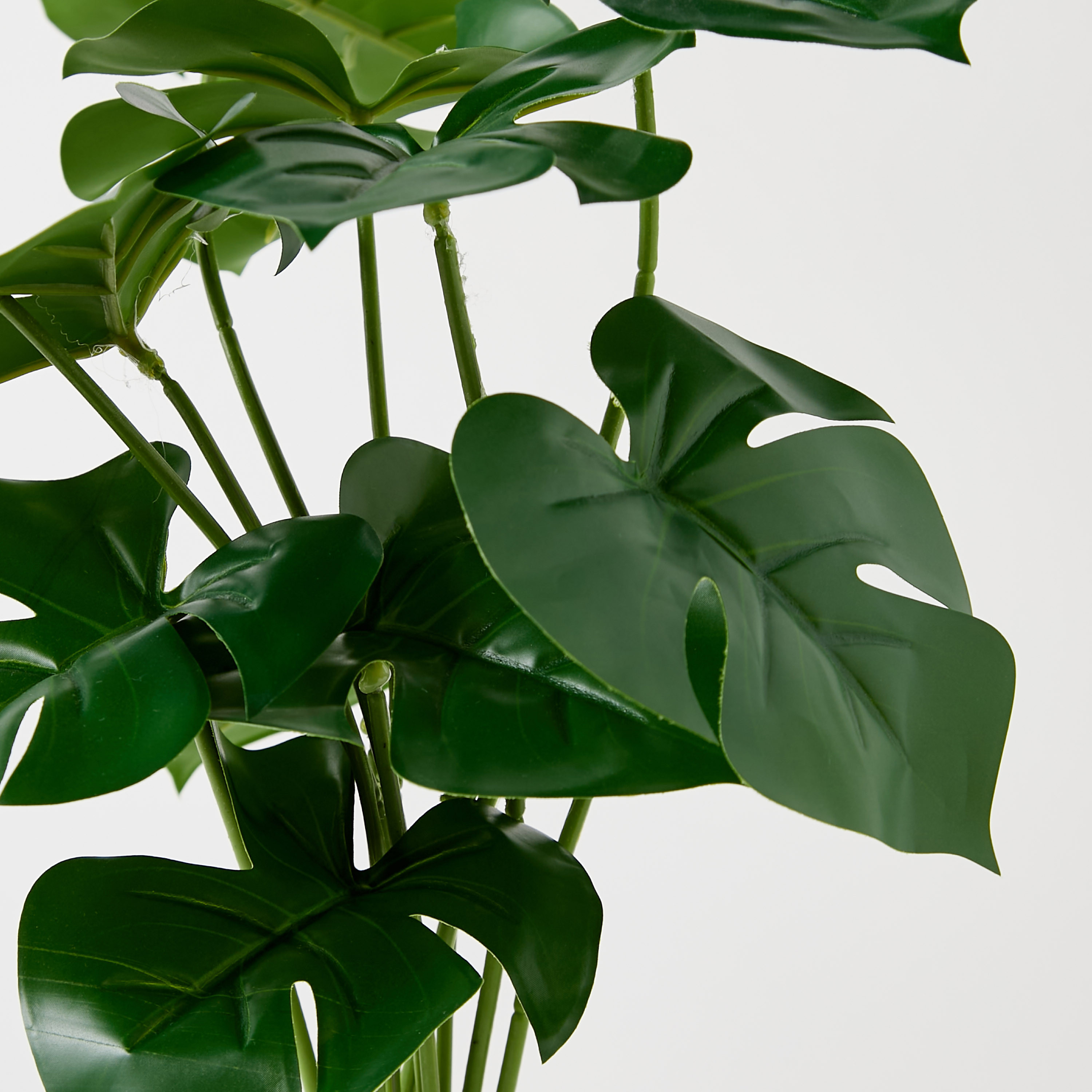Findz Ceramic Planter - 12x12x40 cms-household-decor-decorativeobjectsandsculptures-image-3