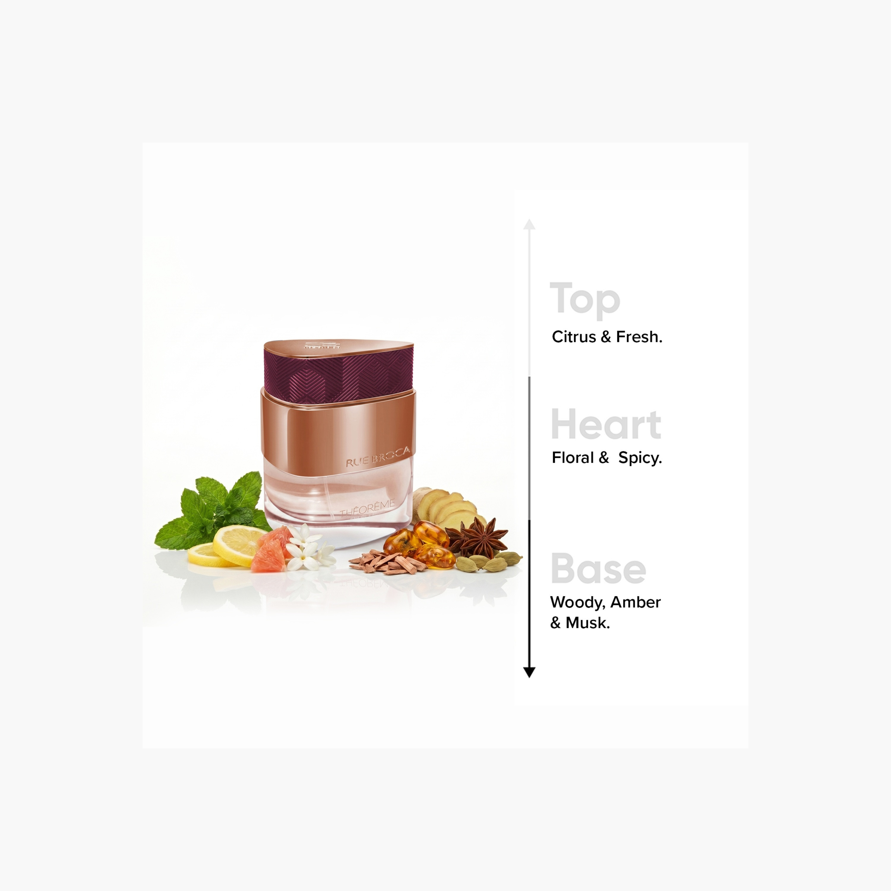 Rue Broca Theoreme Eau de Parfum for Women - 90 ml-beautyandpersonalcare-fragrance-women-image-3