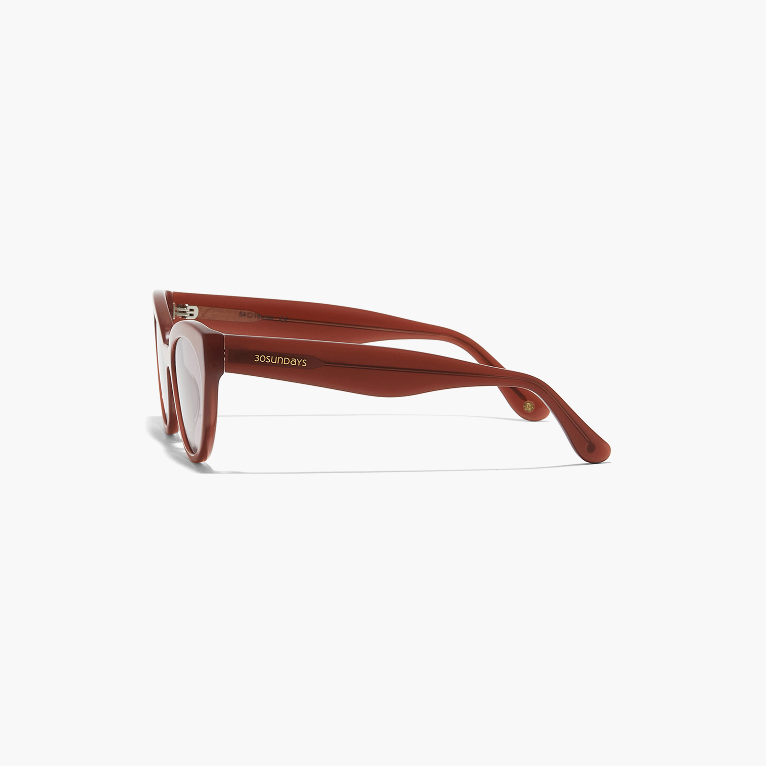 30Sundays Women Brown Lens 54 mm Cat Eye Sunglasses | 30S-000239-0909-women-sunglasses-image-4
