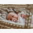 BIBS Boheme 2-Piece Latex Pacifier Set Size 2 - 6 months+-baby-feeding-pacifiers-image-7