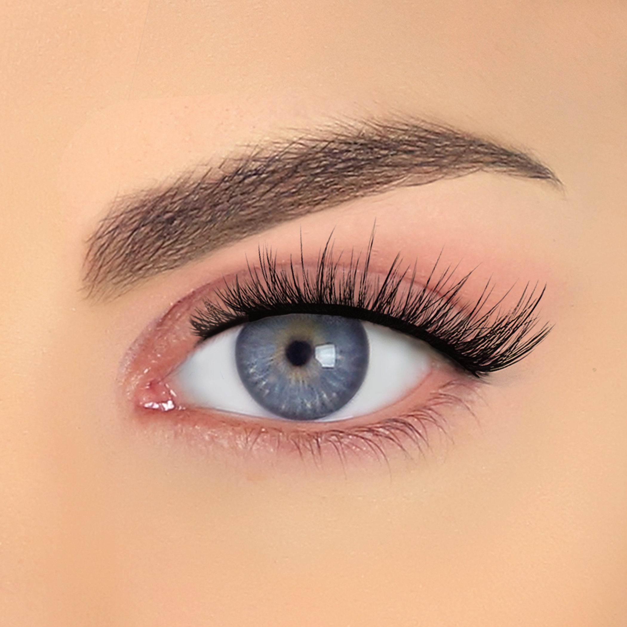 Pinky Goat Pre-Glued Reusable Eyelashes-beautyandpersonalcare-makeup-eyes-falselashes-image-3
