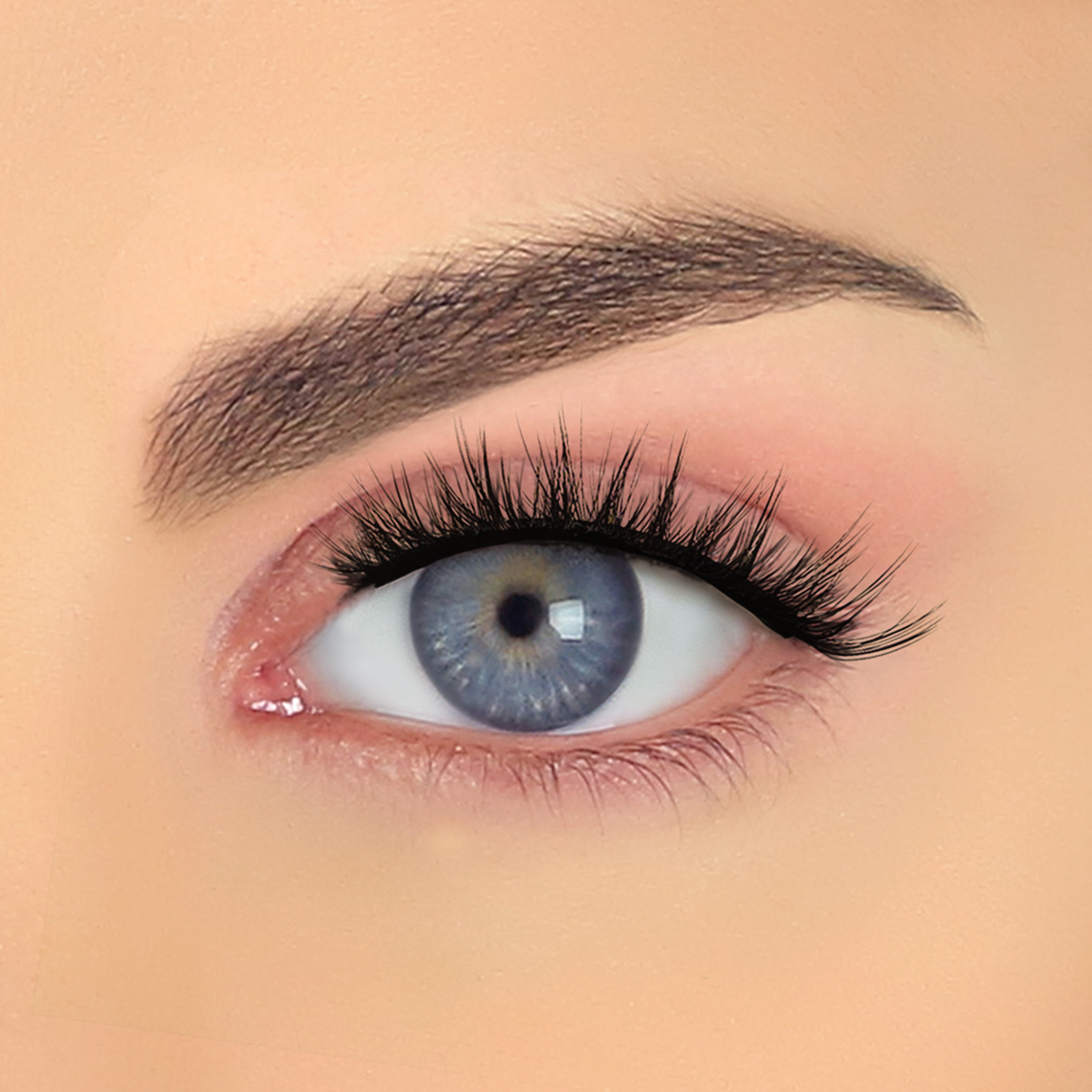 Pinky Goat Pre-Glued Reusable Eyelashes-beautyandpersonalcare-makeup-eyes-falselashes-image-6