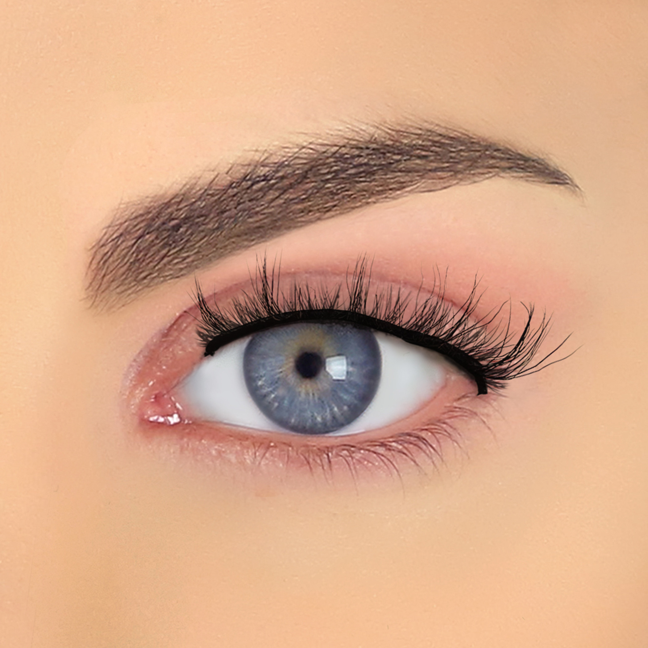 Pinky Goat Pre-Glued Reusable Eyelashes-beautyandpersonalcare-makeup-eyes-falselashes-image-9