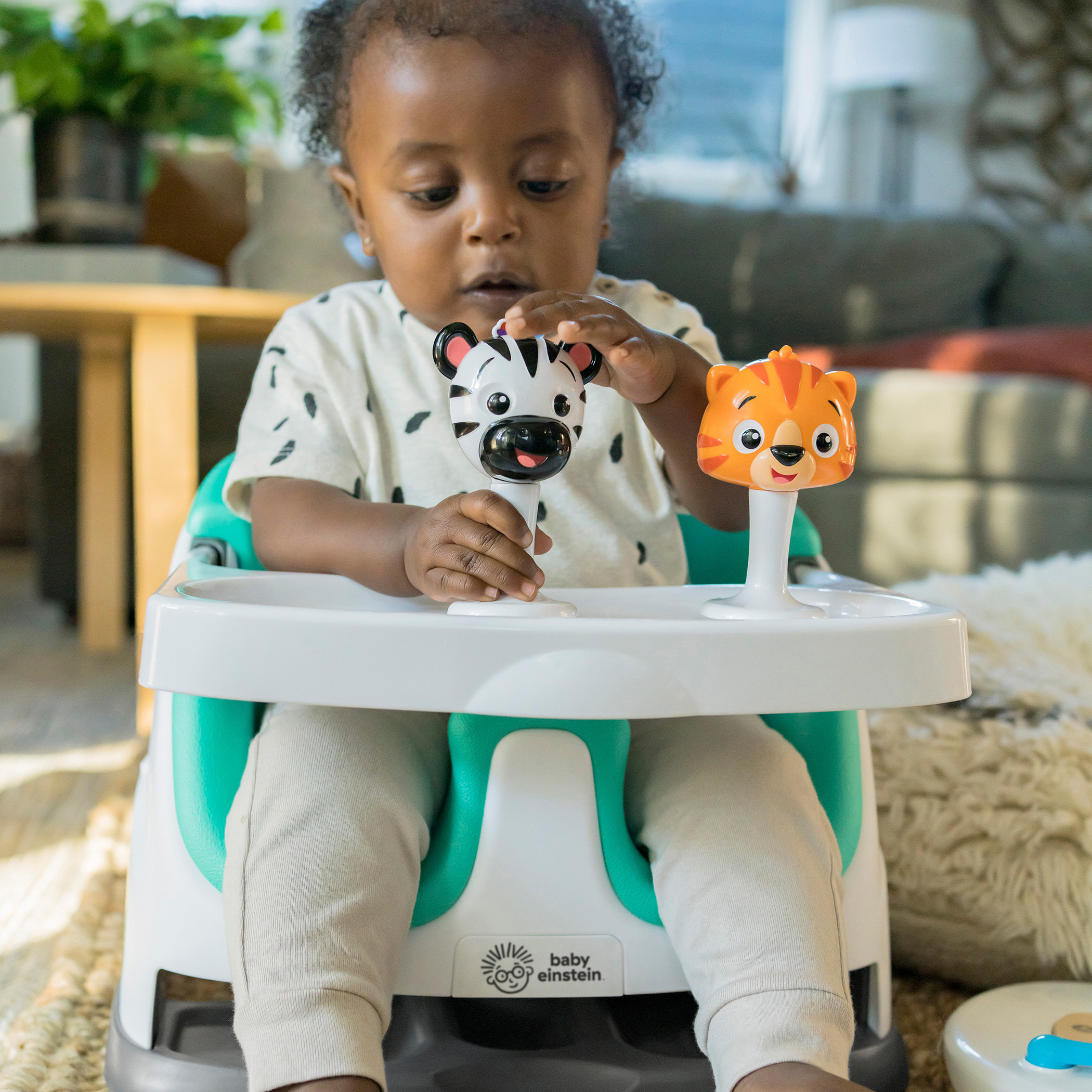 Baby einstein chair online