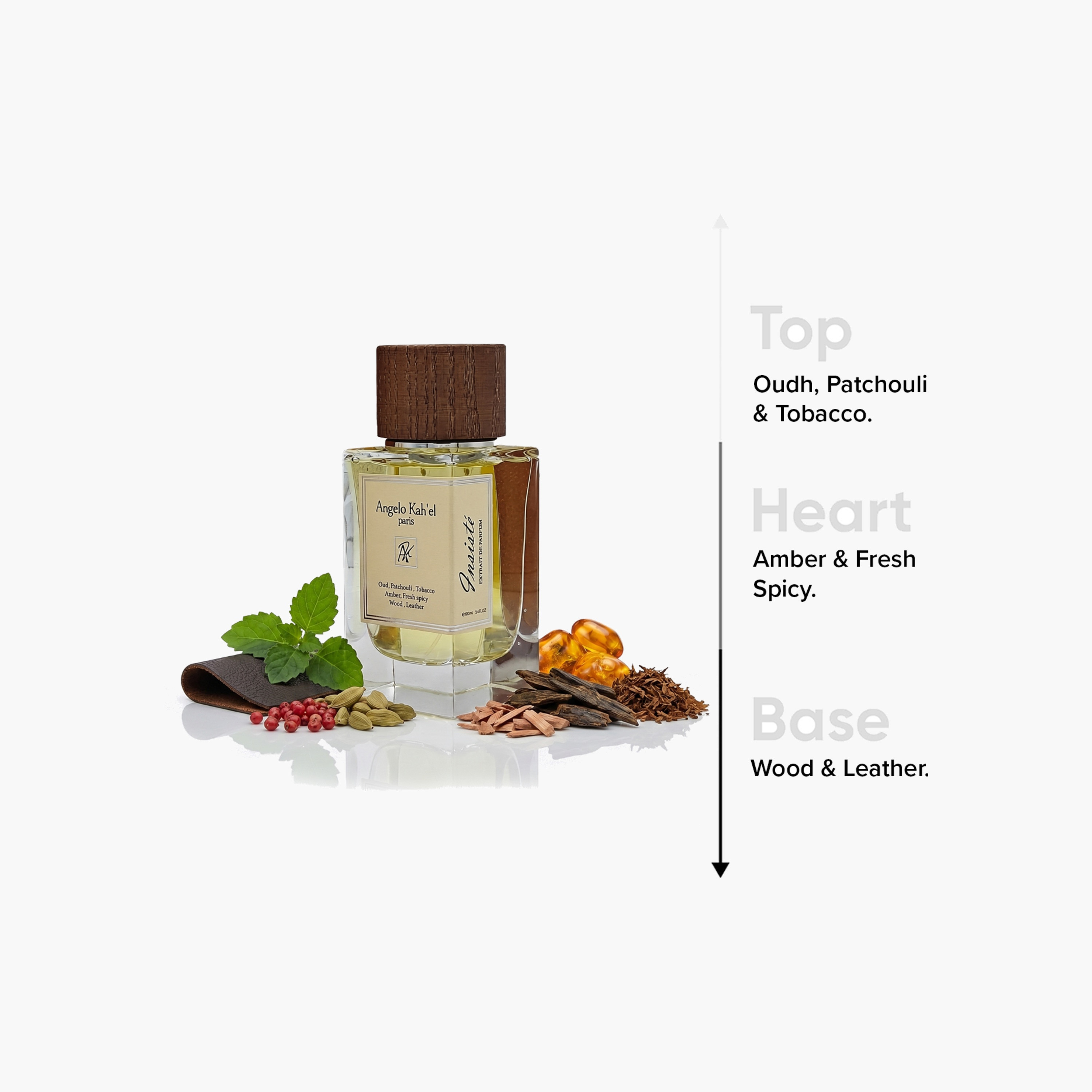 Angelo Kah'el Paris Insiste Eau de Parfum - 100 ml-beautyandpersonalcare-fragrance-unisex-image-4