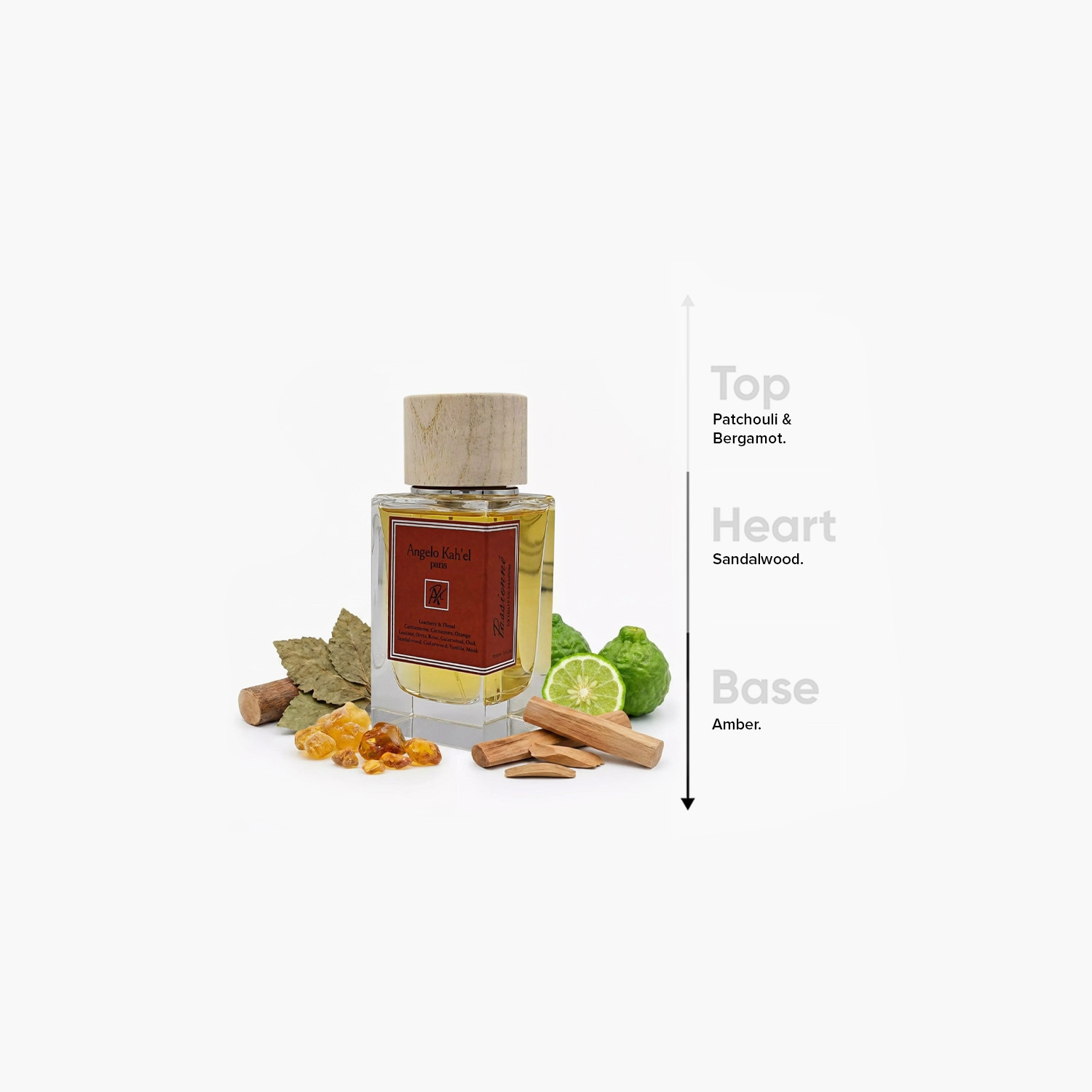 Angelo Kah'el Paris Passionne Eau De Parfum - 100 ml-beautyandpersonalcare-fragrance-unisex-image-4