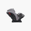 Joie Basic Stages Convertible Car Seat with 5-Point Safety Harness Rear Front Facing and Seat Belt System-baby-gear-carseats-image-10