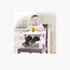 Mastela Ben Booster Seat-baby-feeding-highchairsandboosters-image-2