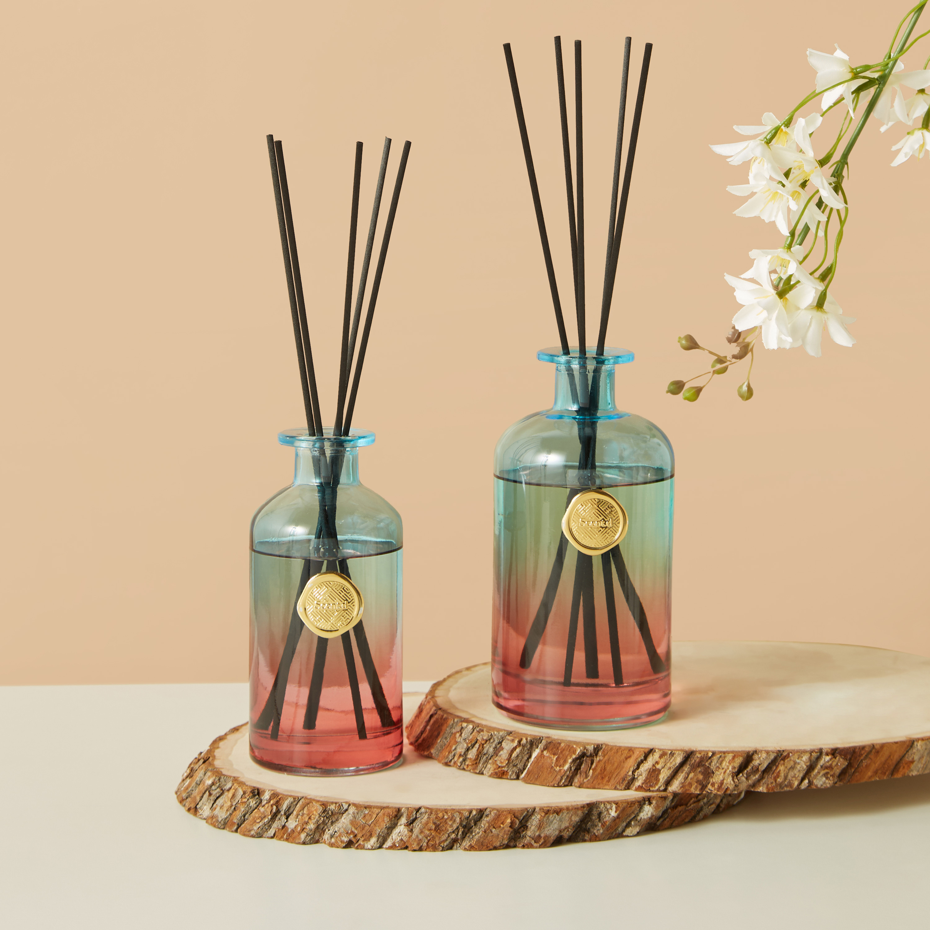 موّزع عطور بالأعواد كاليفورنيا صن سيت من سينت.دي - 250 مل-household-homefragrance-reeddiffusers-image-5