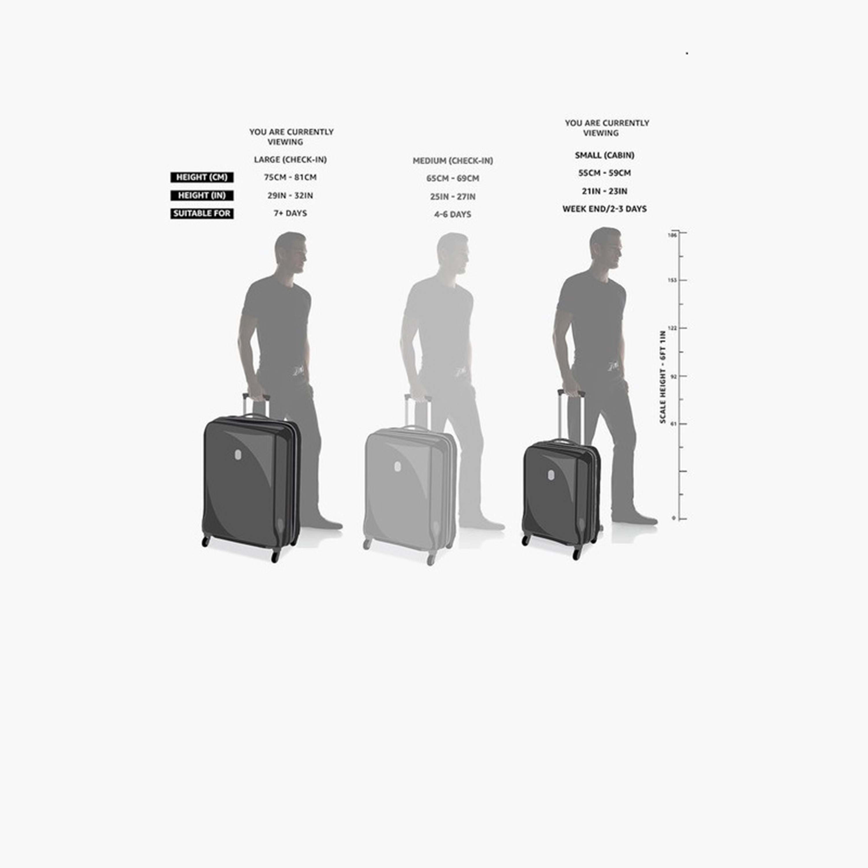 American Tourister Trigard (58/76 CM) Set of 2 Polypropylene Hardcase 4-Wheeler Luggage Trolley Bags-travel-luggagesandbags-luggage-image-2