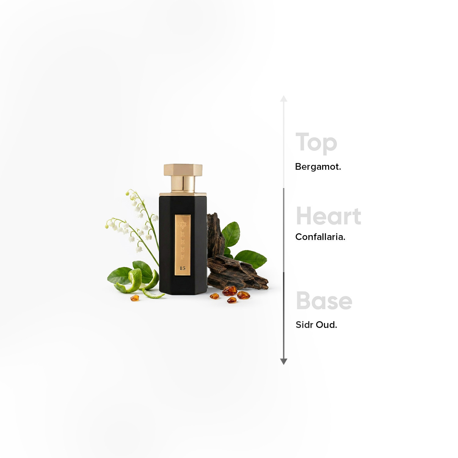 عطر أو دي بارفان ريف 15 للرجال من ريف بيرفيومز - 100 مل-promo_B1G1_19_MAR_TO_31_DEC_9AM_2026_UAE-image-4