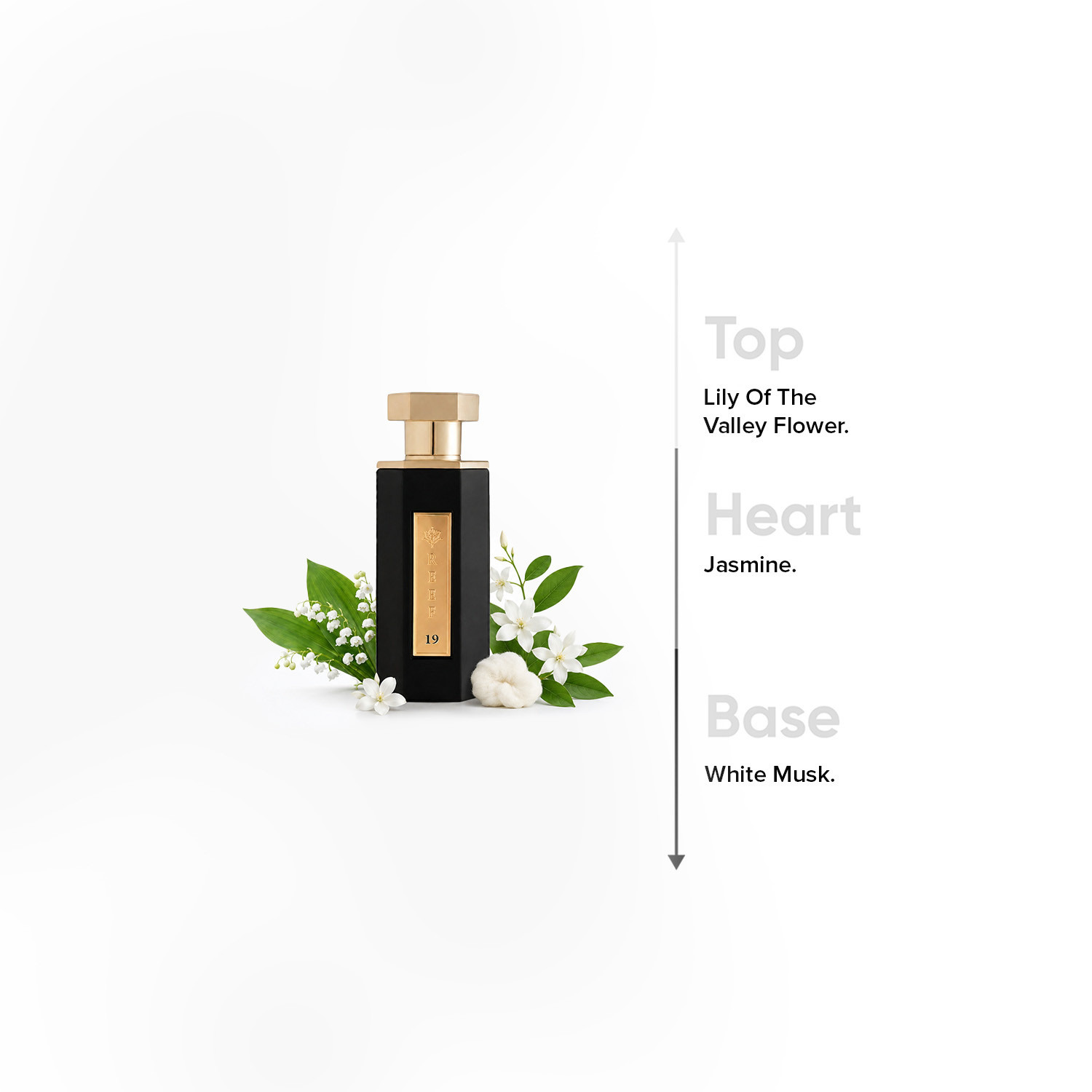 عطر أو دي بارفان ريف 19 من ريف برفيومز - 100 مل-promo_B1G1_19_MAR_TO_31_DEC_9AM_2026_UAE-image-4