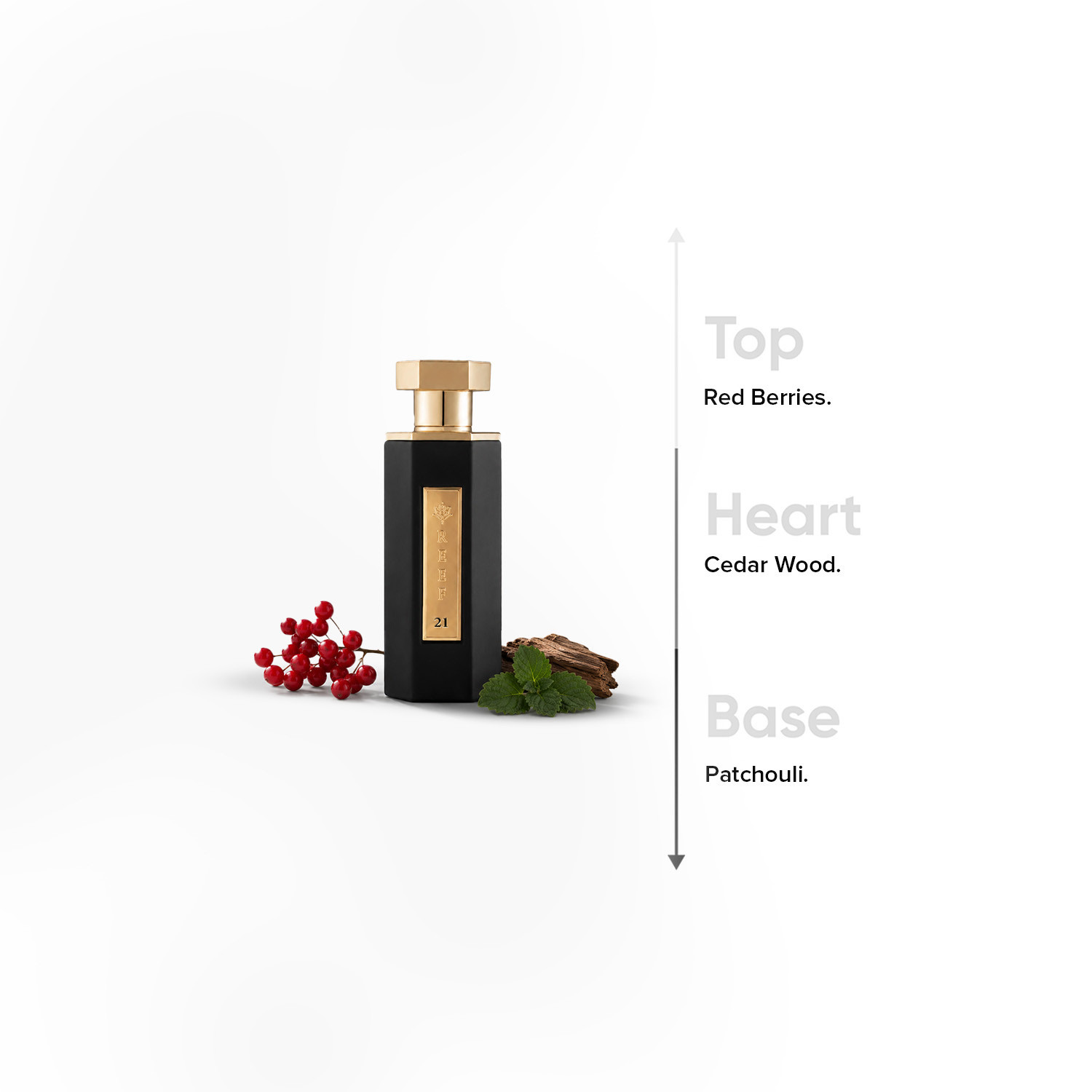 عطر أو دي بارفان ريف 21 من ريف برفيومز - 100 مل-promo_B1G1_19_MAR_TO_31_DEC_9AM_2026_UAE-image-4