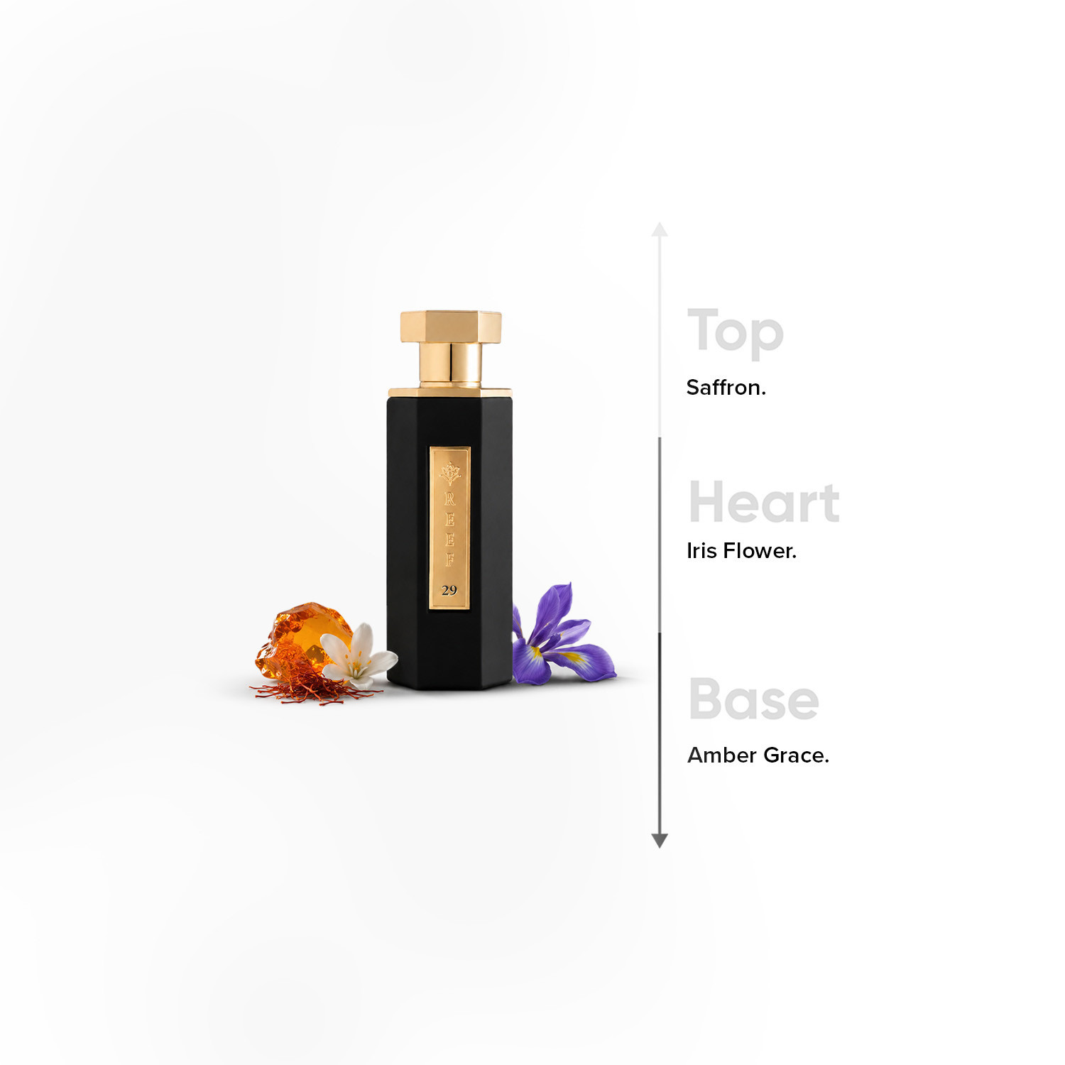 عطر أو دي بارفان ريف 29 للنساء من ريف بيرفيومز - 100 مل-beautyandpersonalcare-fragrance-women-image-4