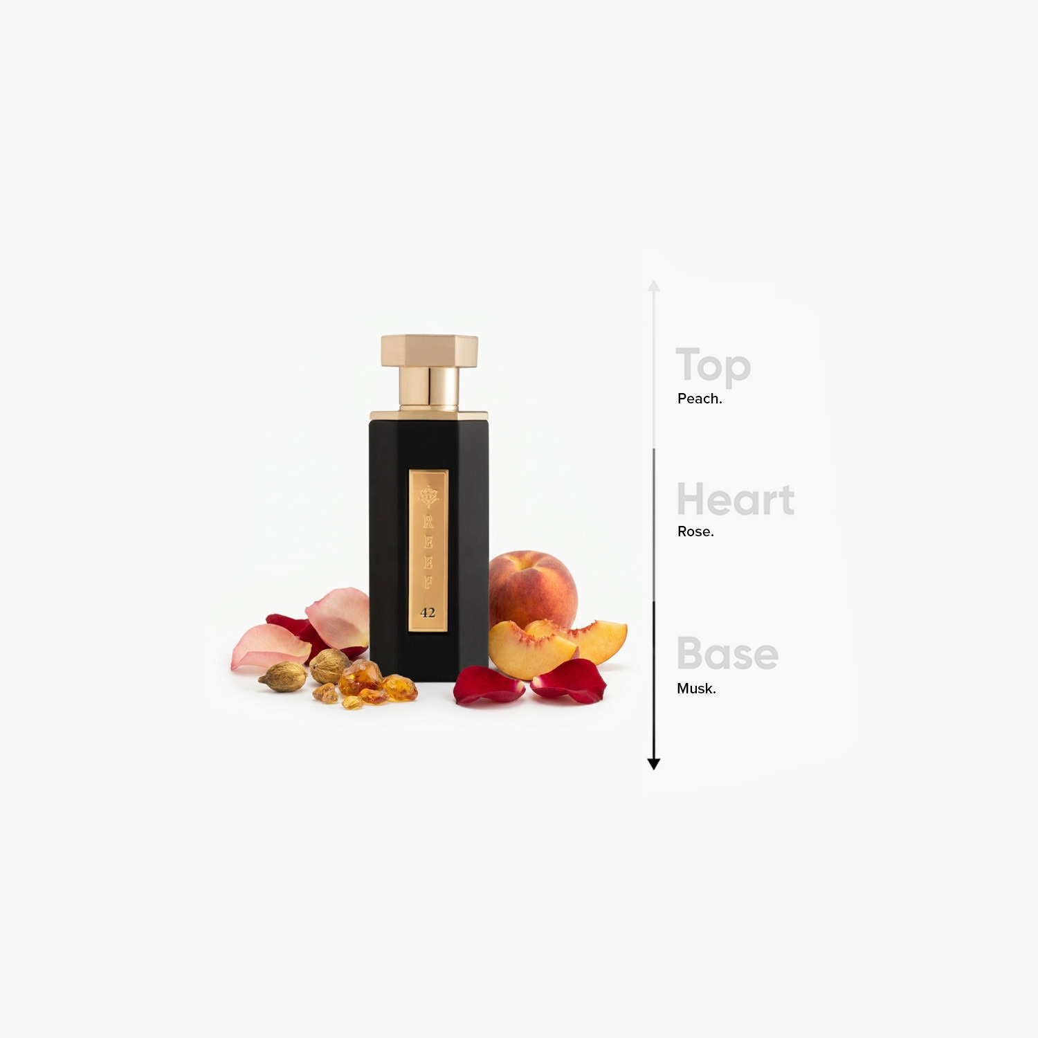 عطر أو دي برفان ريف 42 للنساء من ريف برفيومز - 100 مل-promo_B1G1_19_MAR_TO_31_DEC_9AM_2026_UAE-image-4