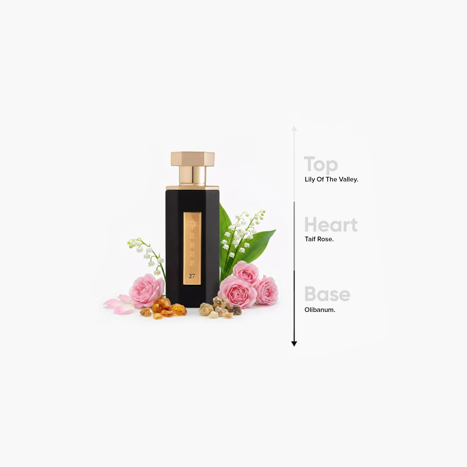 عطر أو دي بارفان ريف 27 من ريف برفيومز - 100 مل-promo_B1G1_19_MAR_TO_31_DEC_9AM_2026_UAE-image-4