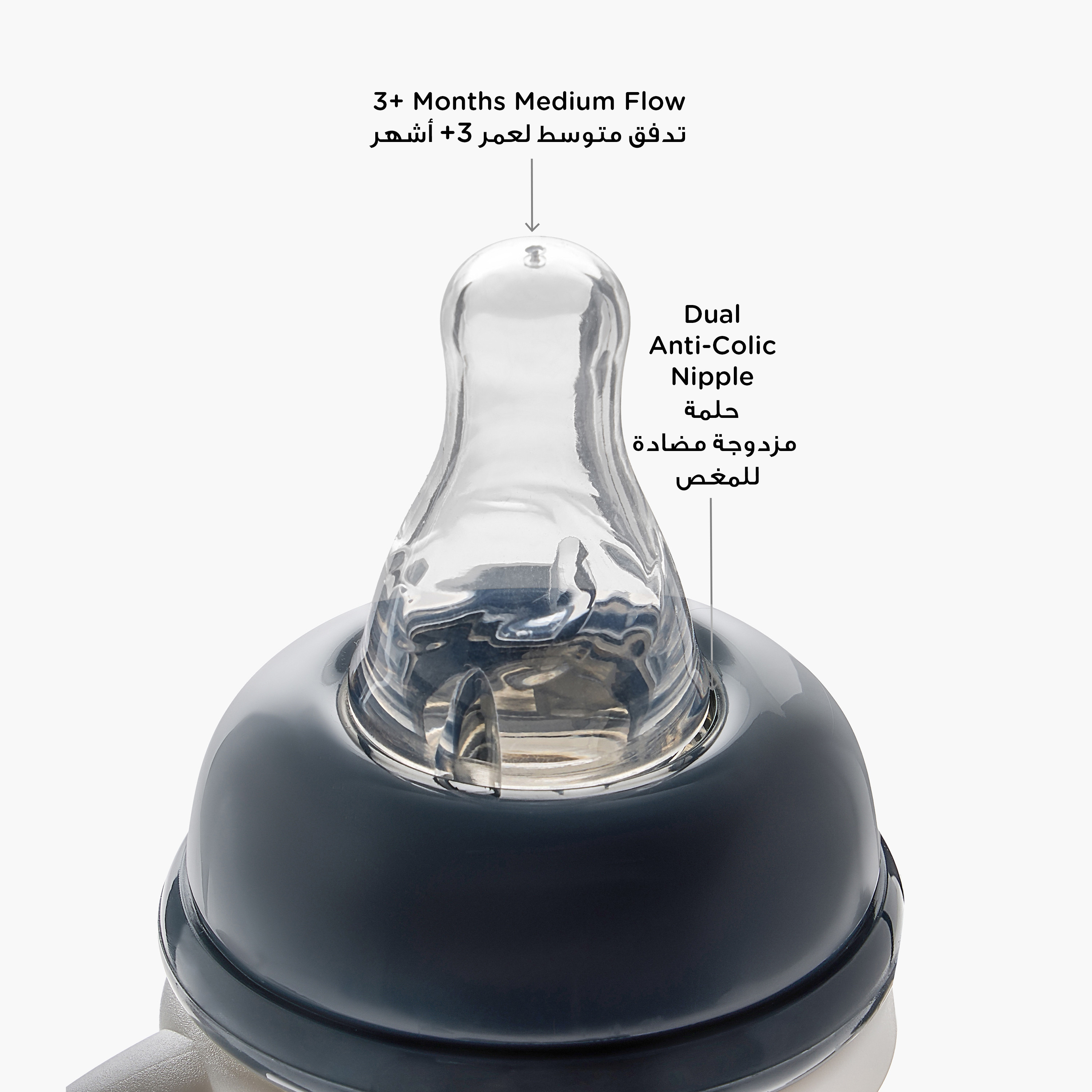 رضّاعة بمقبض وطبعات ليتل بير من جيجلز - 240 مل-baby-feeding-feedingbottles-bottlesandteats-image-6