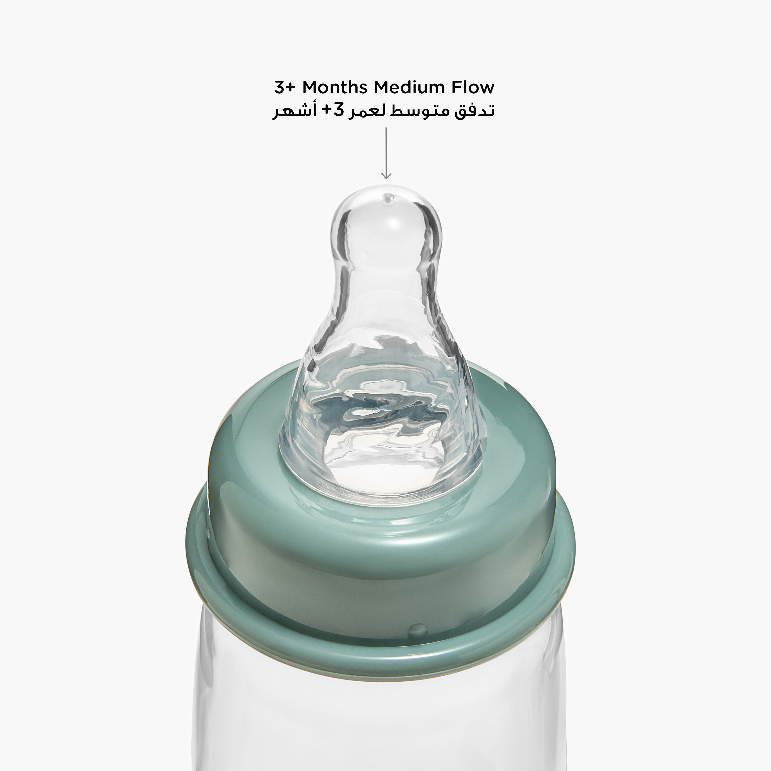 قارورة رضاعة بلاستيك بتصميم ليتل بير من جيجلز - 240 مل-baby-feeding-feedingbottles-bottlesandteats-image-7