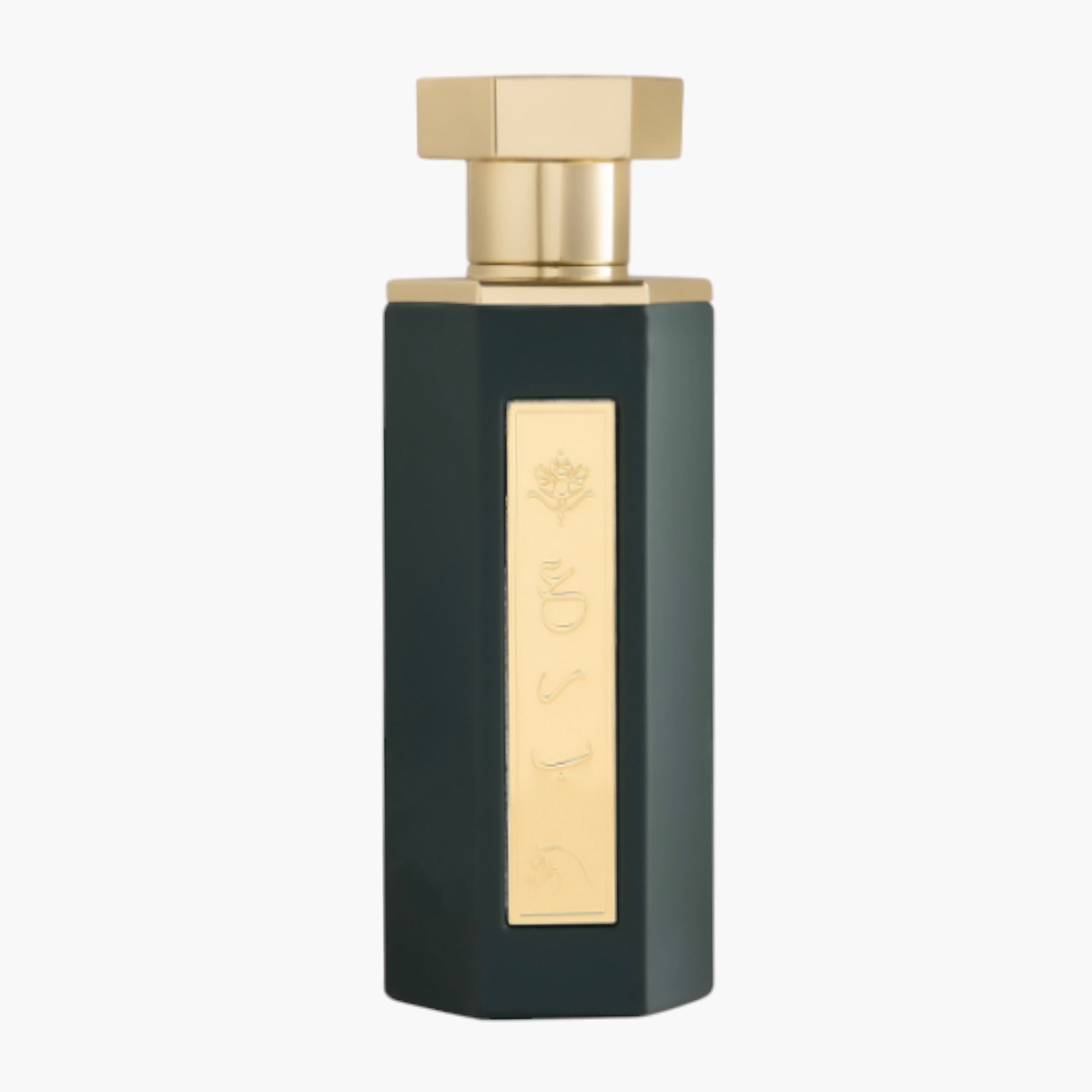 REEF PERFUMES Abbia Eau de Parfum - 100 ml-beautyandpersonalcare-fragrance-unisex-image-3