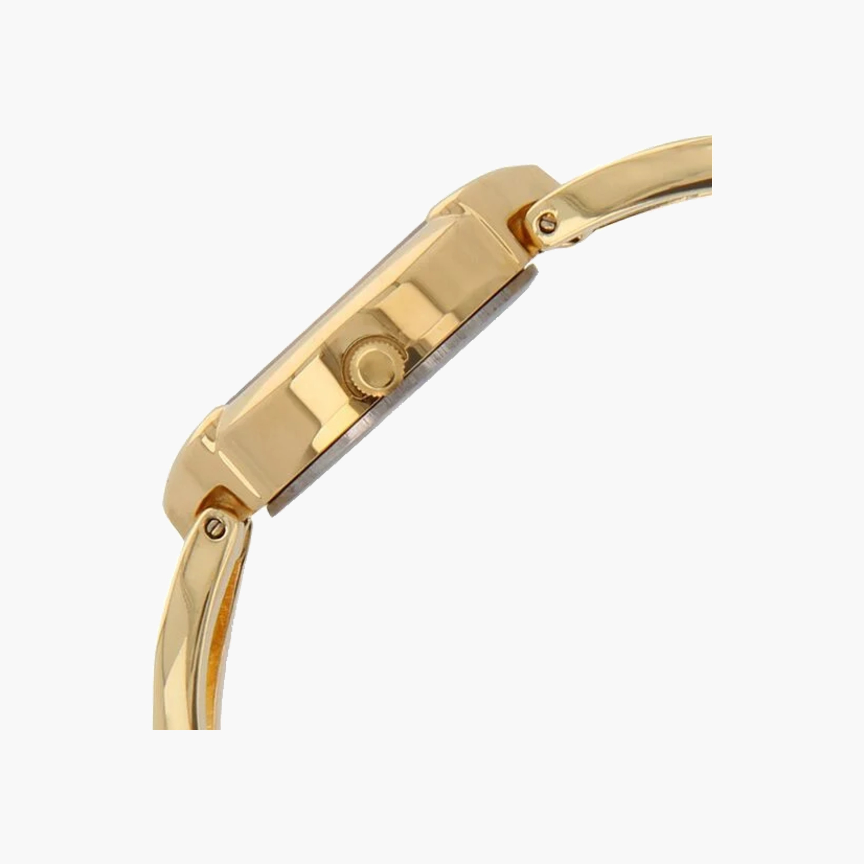 Titan Oval Dial Women's Analogue Watch-women-watchesandjewellery-watches-image-4