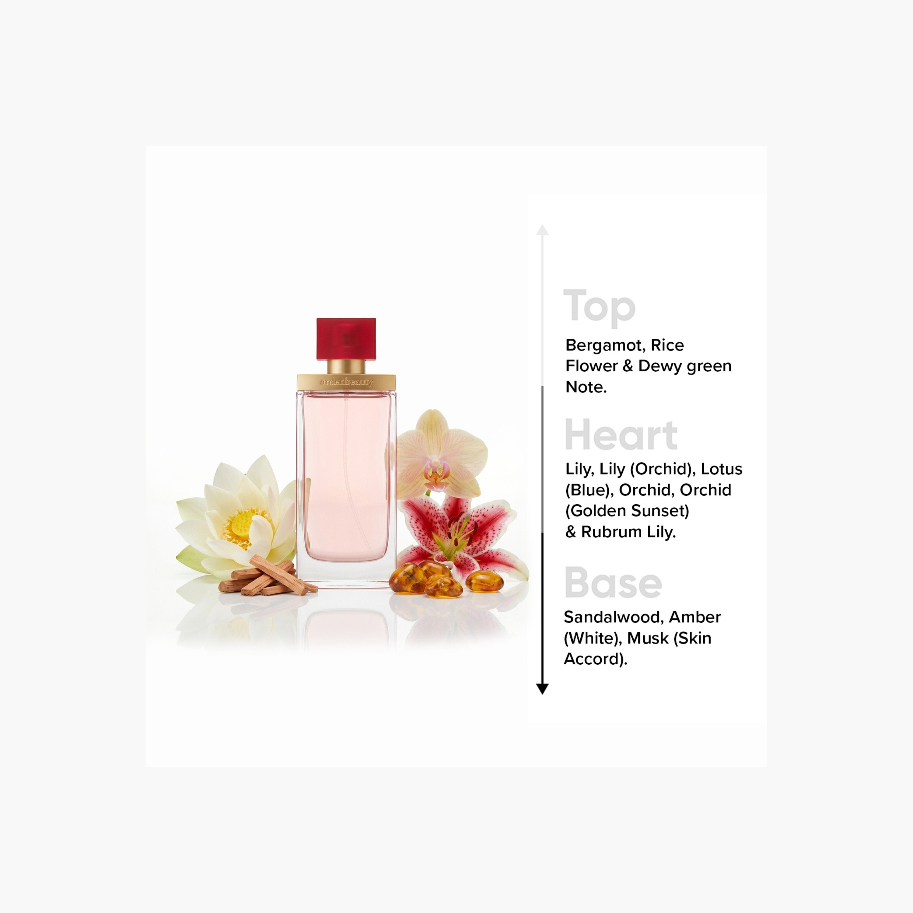 بخاخ أو دو بارفان بيوتي من إليزابيث آردن - 100 مل-beautyandpersonalcare-fragrance-women-image-4