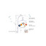 Nini Celestial Cot Mobile-baby-nursery-furniture-cribsandbeds-cribaccessories-image-5