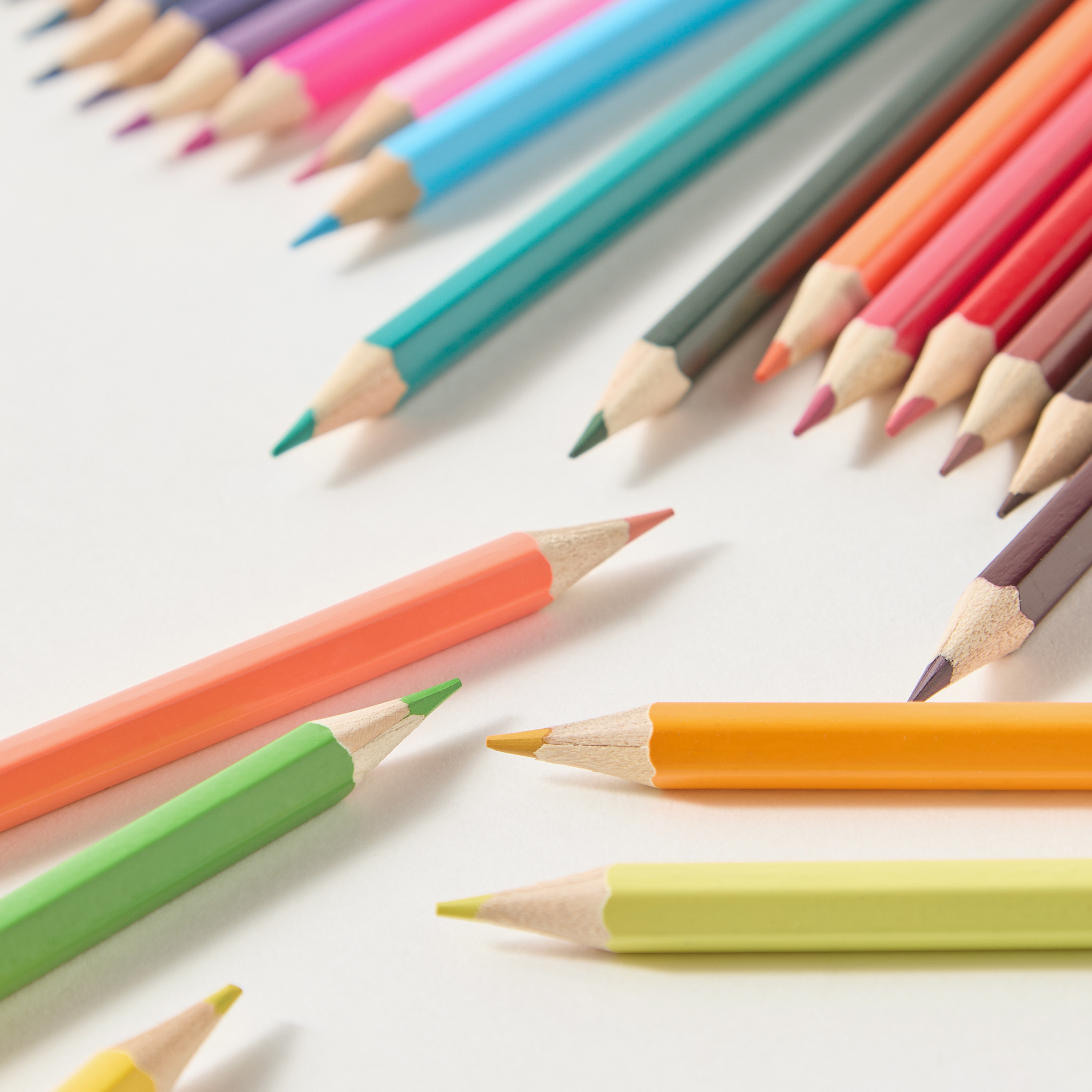 Findz 24-Piece Colour Pencil Set-school-stationery-pencilcases-image-3
