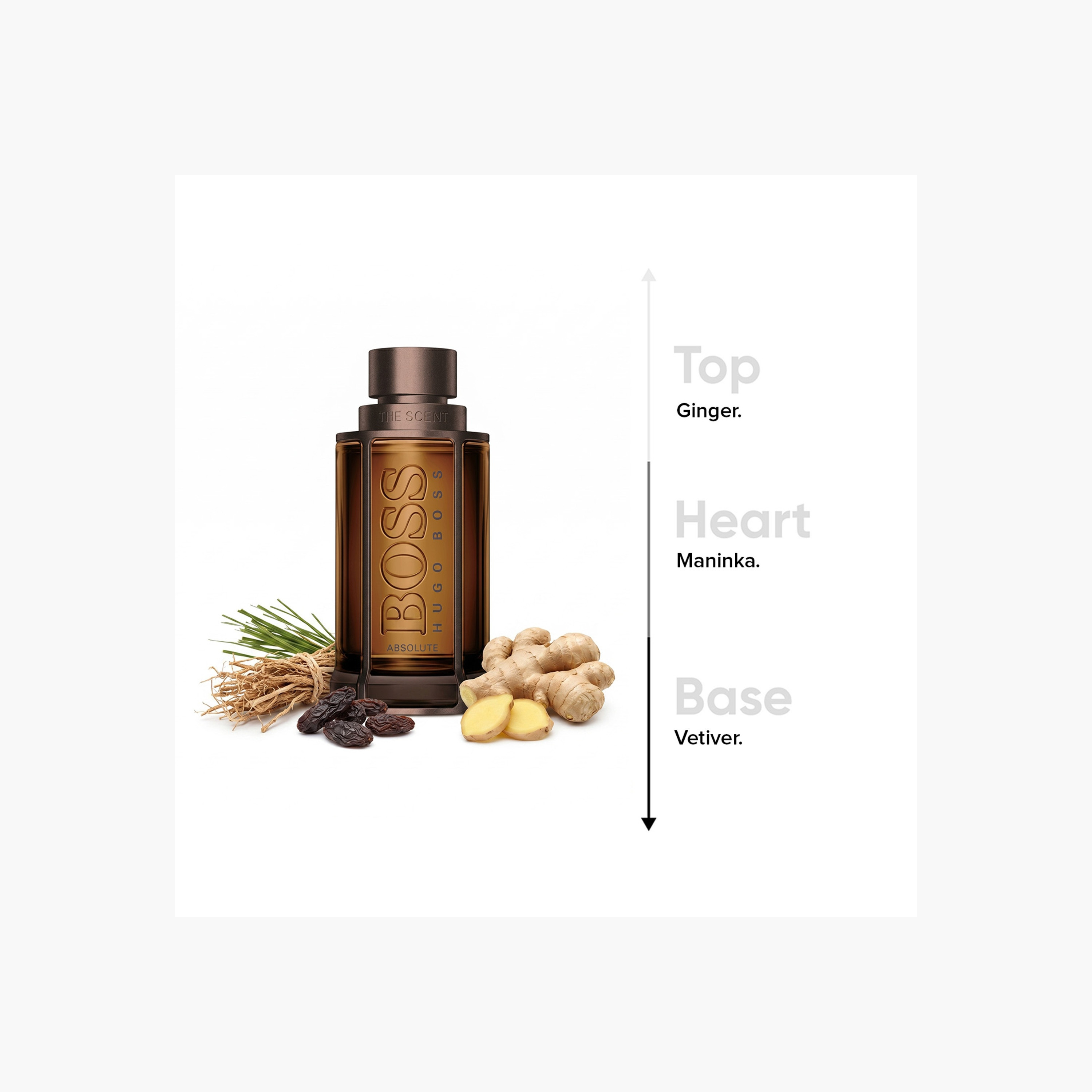 Hugo Boss The Scent Absolute Eau de Parfum for Men - 100 ml-beautyandpersonalcare-fragrance-men-image-5