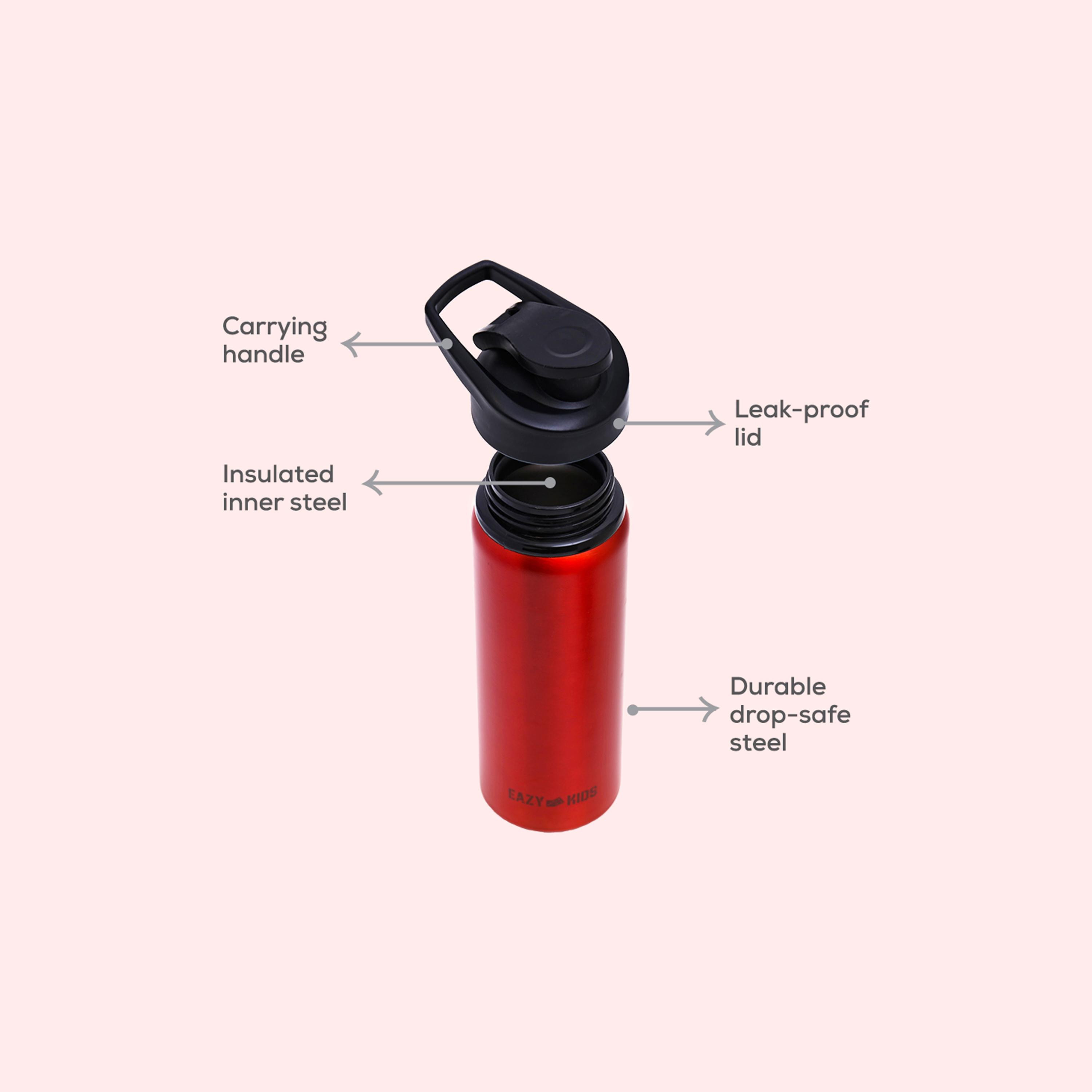 Eazy Kids Stainless Steel Sports Water Bottle, 700ml-school-waterbottles-image-19
