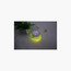 Juniors Snail Nightlight and Projector-baby-nursery-roomdecor-image-3