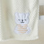 Juniors Bear Applique Waffle Fleece Raschel Blanket - 80x110 cm-baby-nursery-blanketsandswaddles-blanketsandquilts-image-2