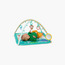 جيم للأنشطة بالم بارتي من برايت ستارتس-baby-infantactivity-playgyms-image-4