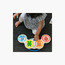 Baby Einstein Magic Touch Drums Wooden Musical Toy-toys-babyandtoddlertoys-lightsandmusicaltoys-image-4