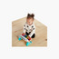 Baby Einstein Piano Musical Toy-toys-babyandtoddlertoys-lightsandmusicaltoys-image-4